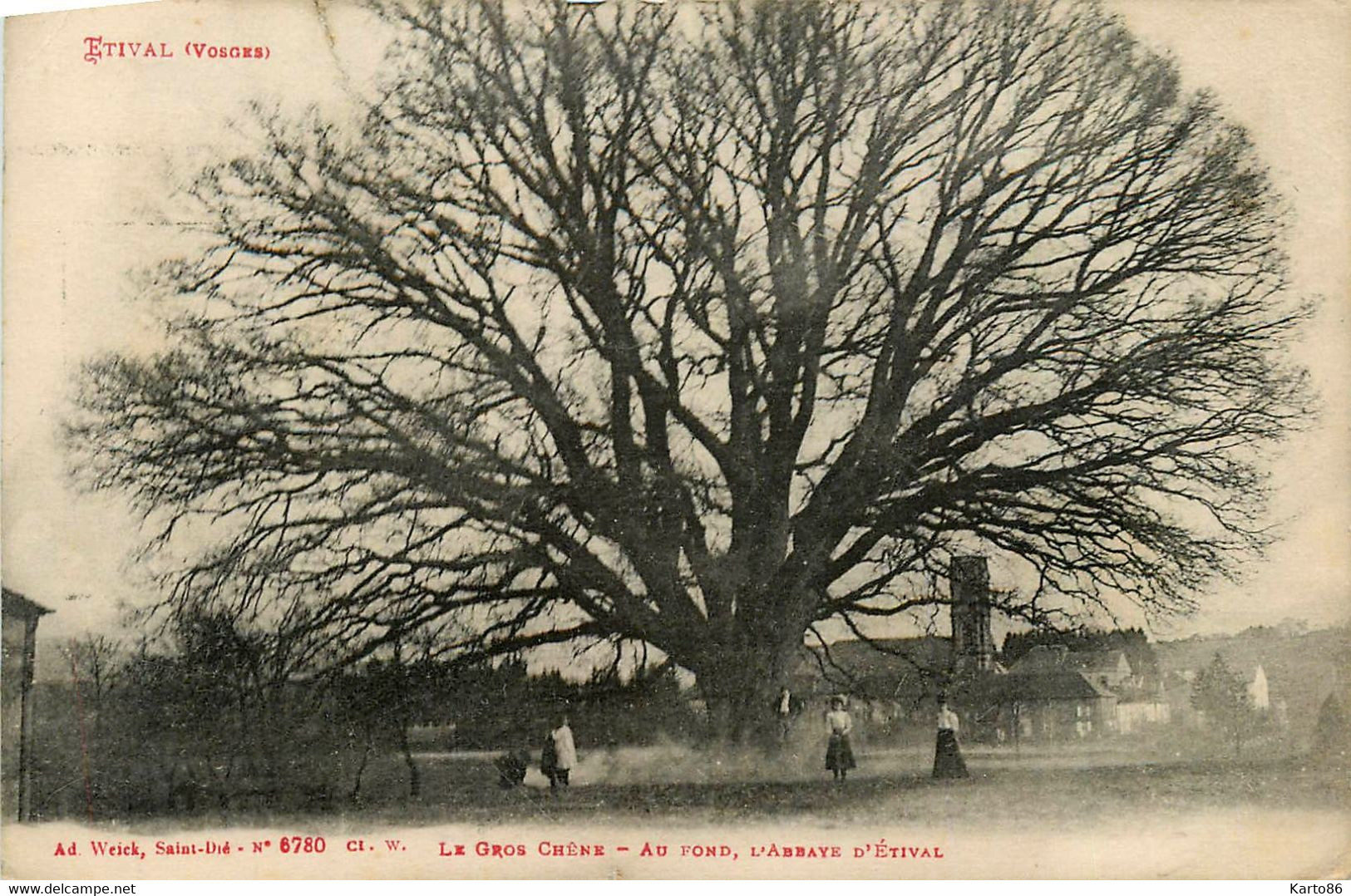 étival * Le Gros Chêne * L'abbaye * Arbre - Etival Clairefontaine