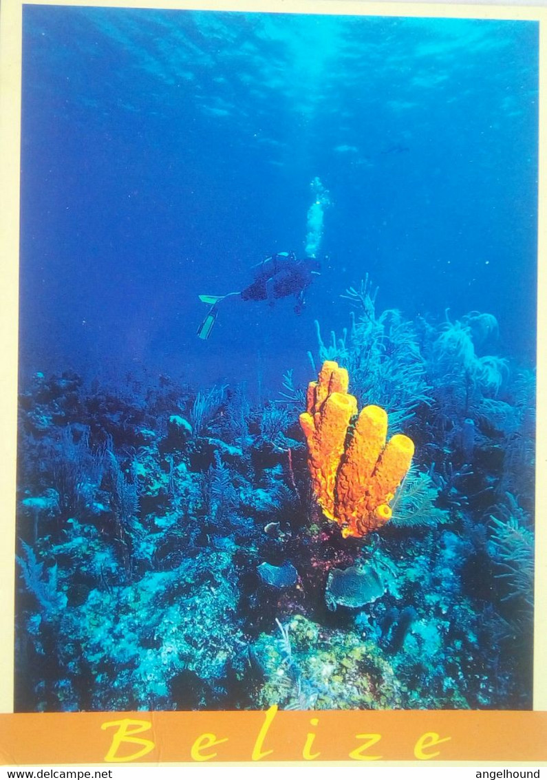 Belize Underwater - Belize