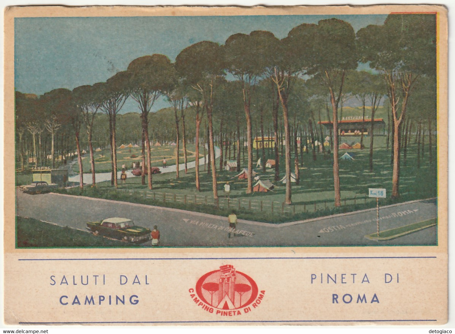 ROMA - SALUTI DAL CAMPING PINETA DI ROMA - VIAGG. 1965 -54997- - Parks & Gardens