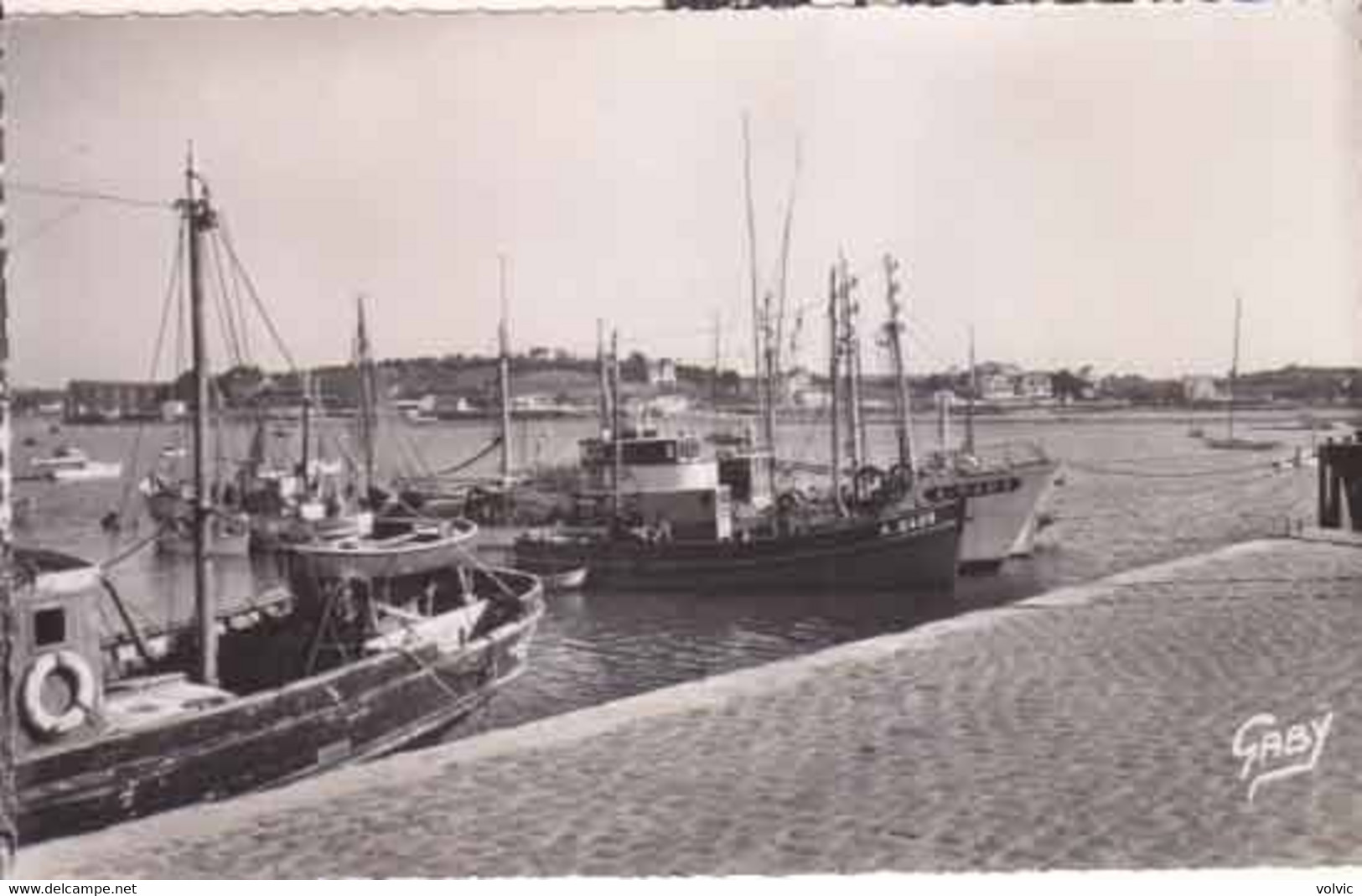 56 - LA TRINITE-SUR-MER - La Rade - CPSM - La Trinite Sur Mer