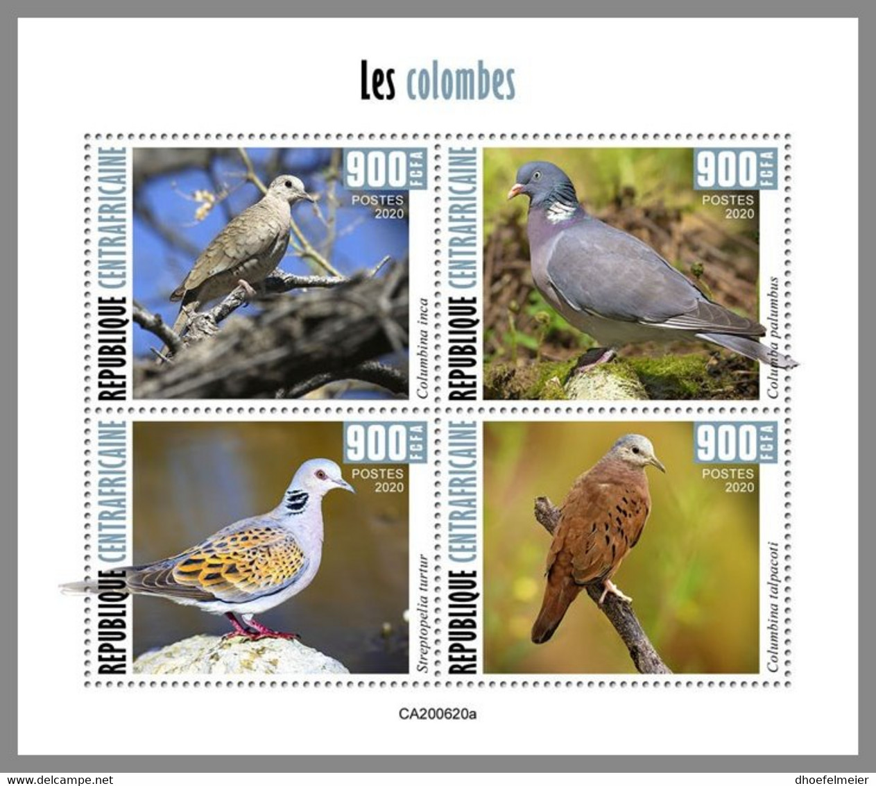 CENTRALAFRICA 2020 MNH Doves Tauben Colombes M/S - OFFICIAL ISSUE - DHQ2105 - Palomas, Tórtolas