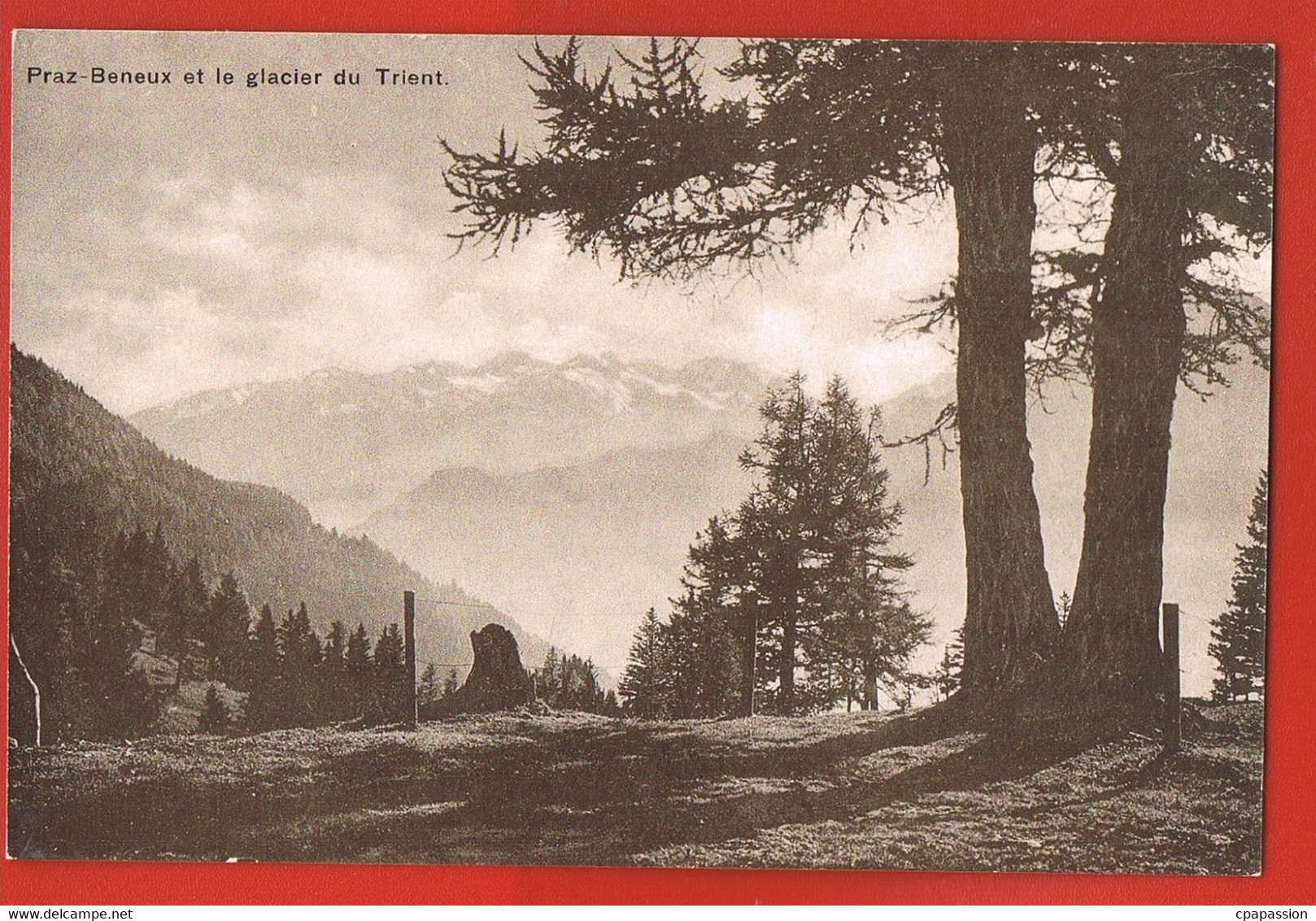 PRAZ BENEUX Et Le Glacier Du Trient- VAUD-  SUISSE-  Cpsm - Scans Recto Verso - La Praz