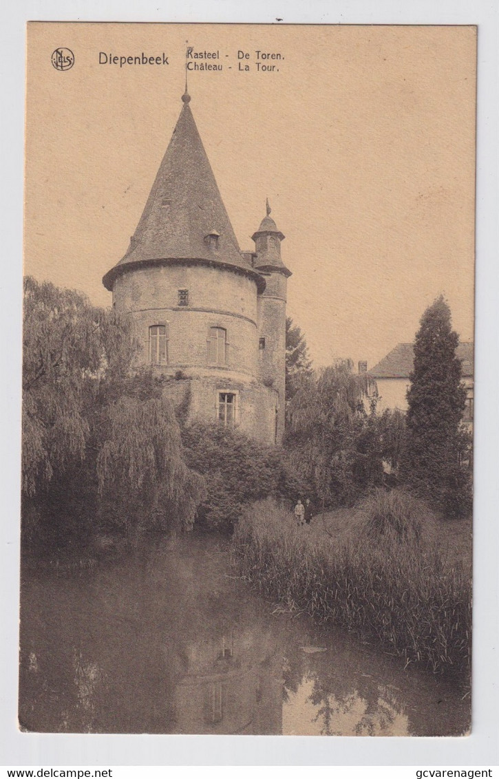 DIEPENBEEK  KASTEEL  DE TOREN - Diepenbeek