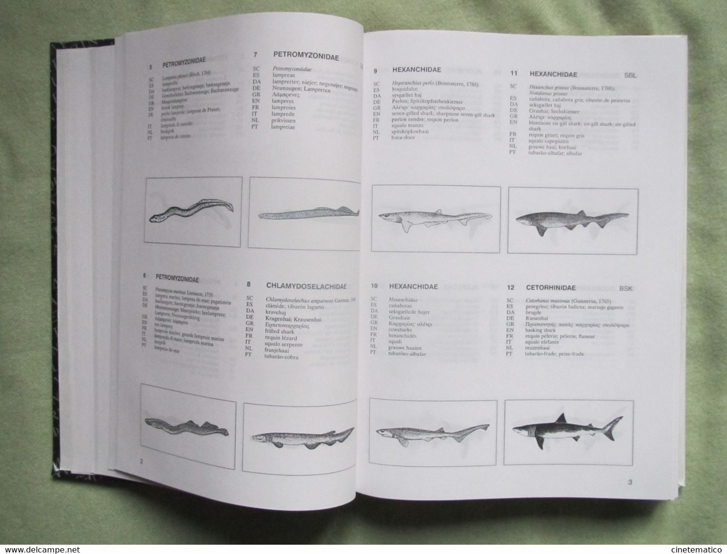 Book/livre/buch/libro "Multilingual Illustrated Dictionary Of Aquatic Animals And Plants" - Sciences