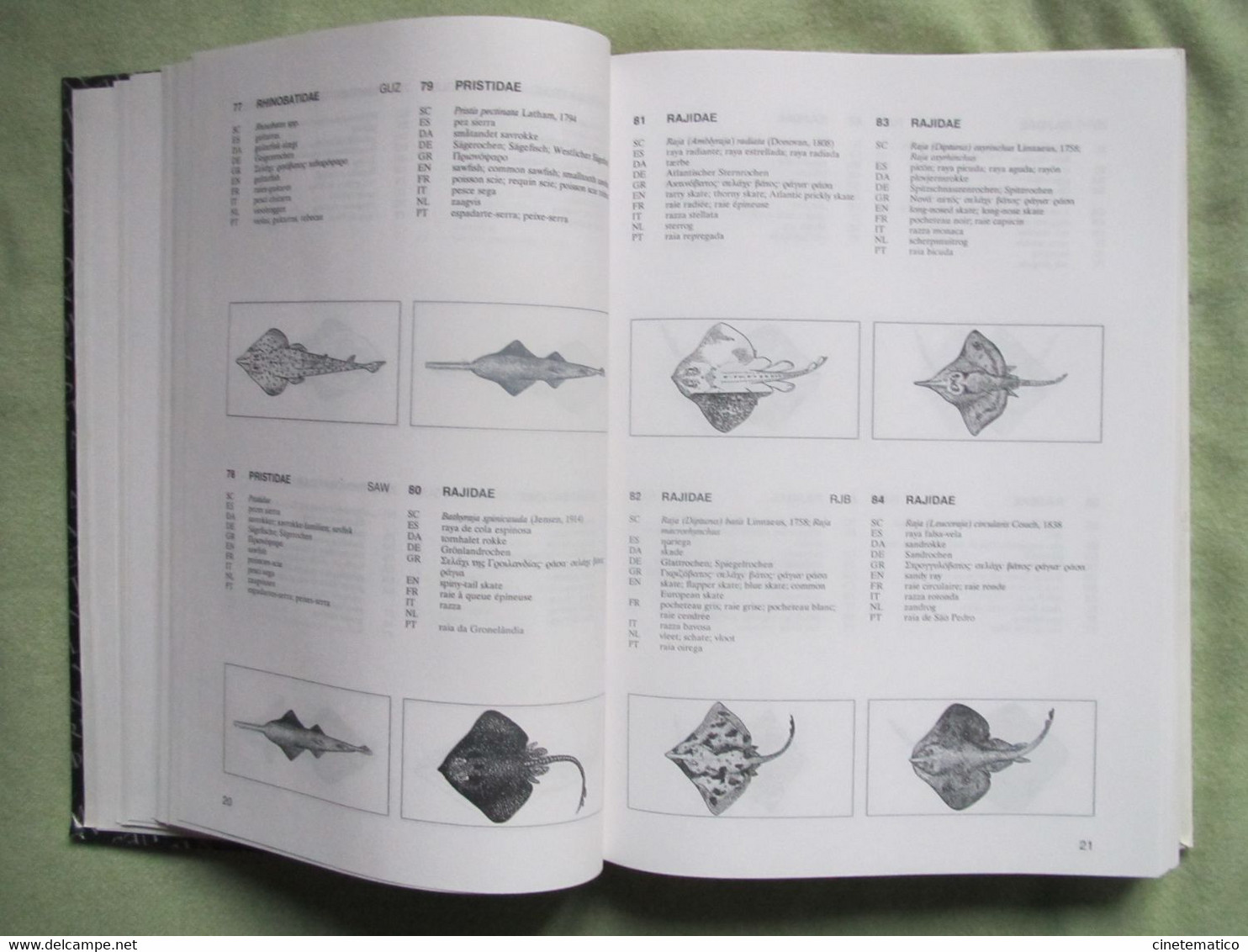 Book/livre/buch/libro "Multilingual Illustrated Dictionary Of Aquatic Animals And Plants" - Ciencia