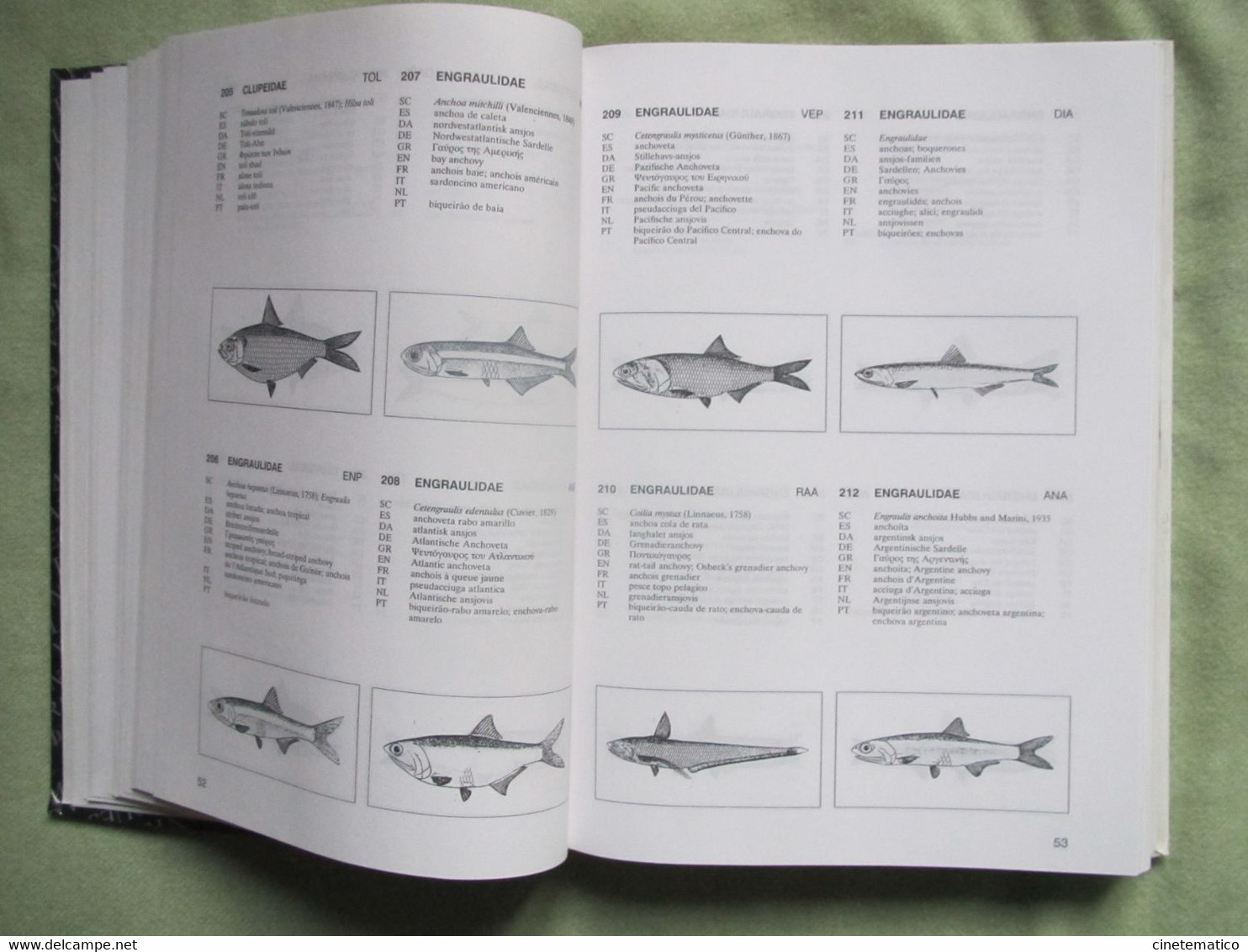 Book/livre/buch/libro "Multilingual Illustrated Dictionary Of Aquatic Animals And Plants" - Wetenschappen