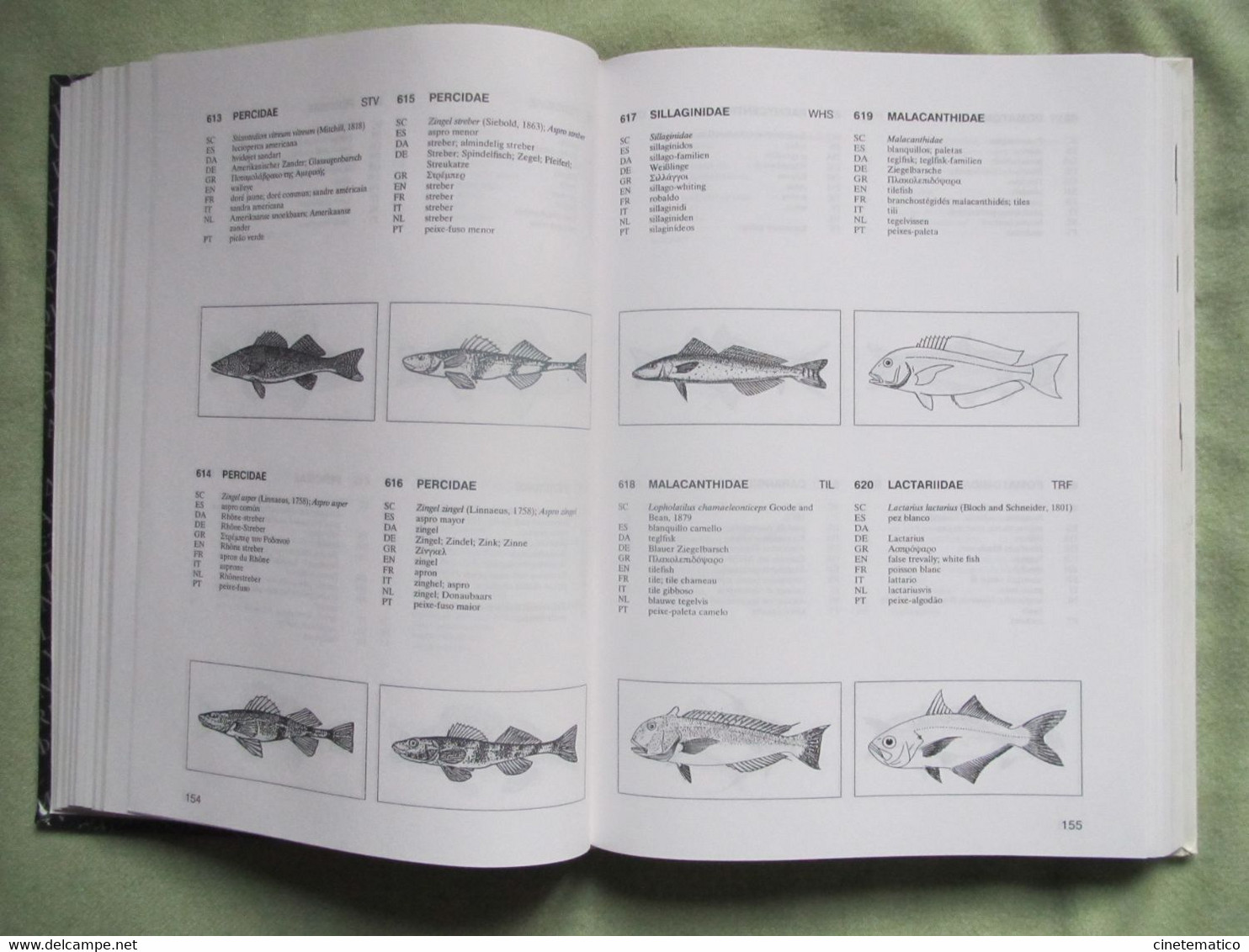 book/livre/buch/libro "Multilingual illustrated Dictionary of Aquatic Animals and Plants"