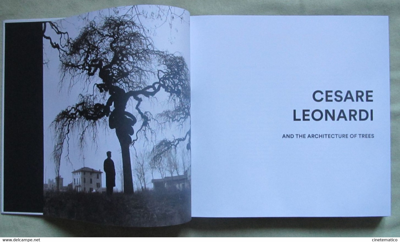 book/livre/buch/libro CUBE/IQOS: photography art communication architecture and trees