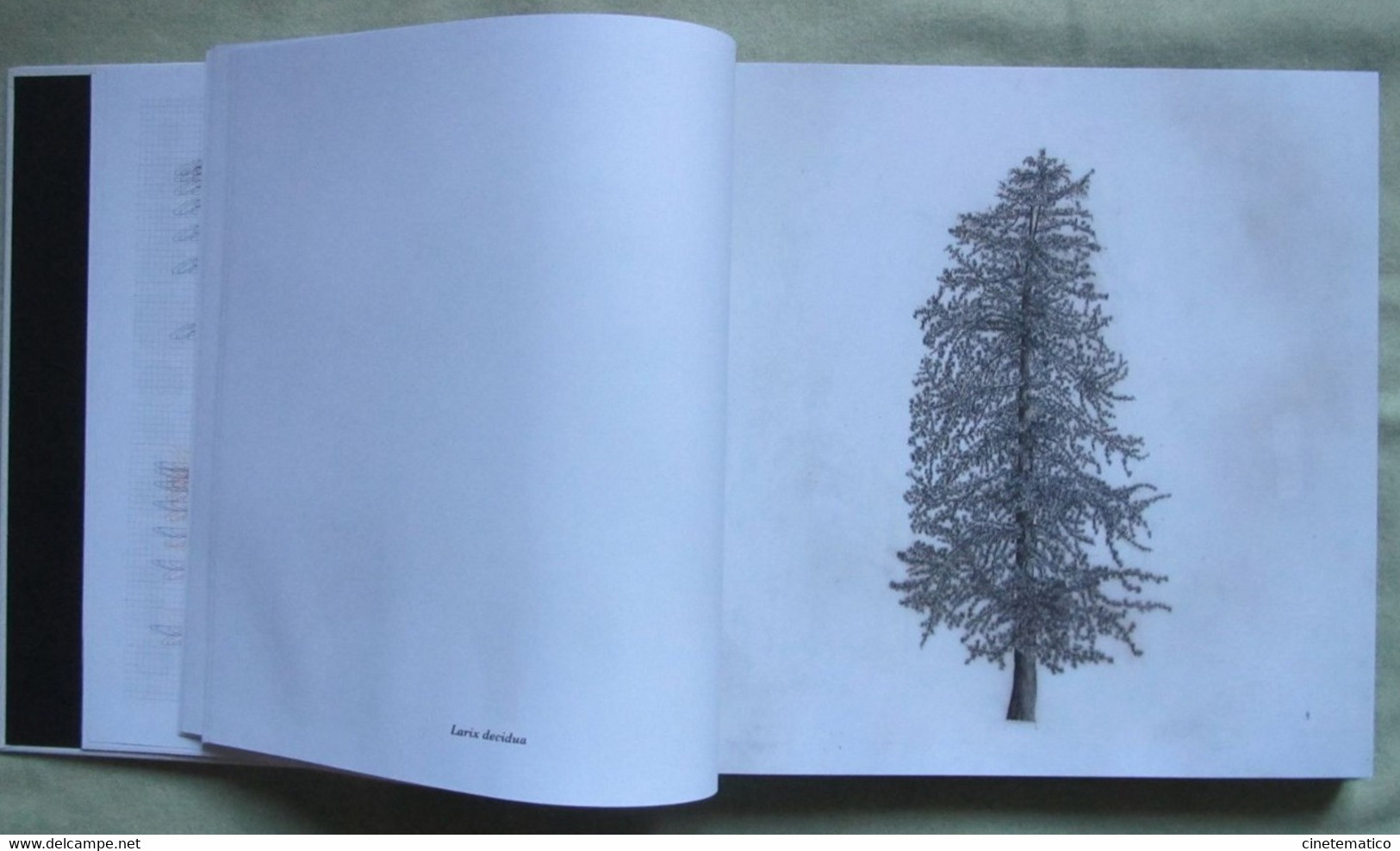 book/livre/buch/libro CUBE/IQOS: photography art communication architecture and trees