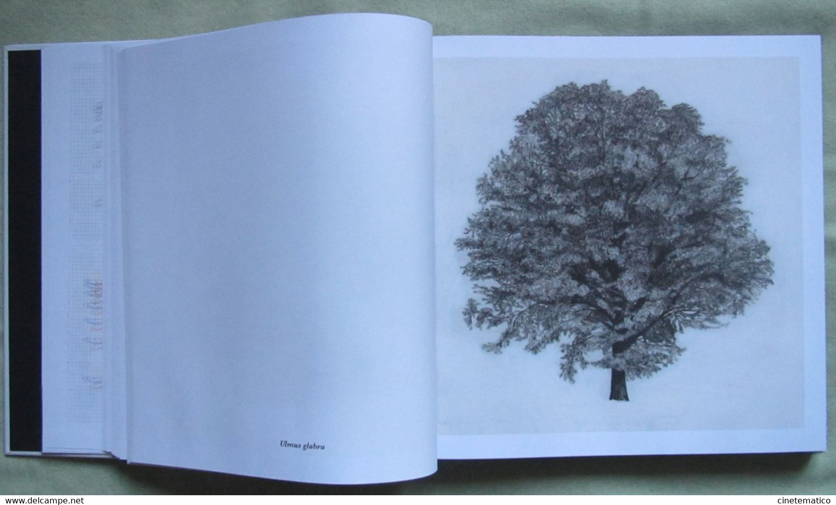 book/livre/buch/libro CUBE/IQOS: photography art communication architecture and trees