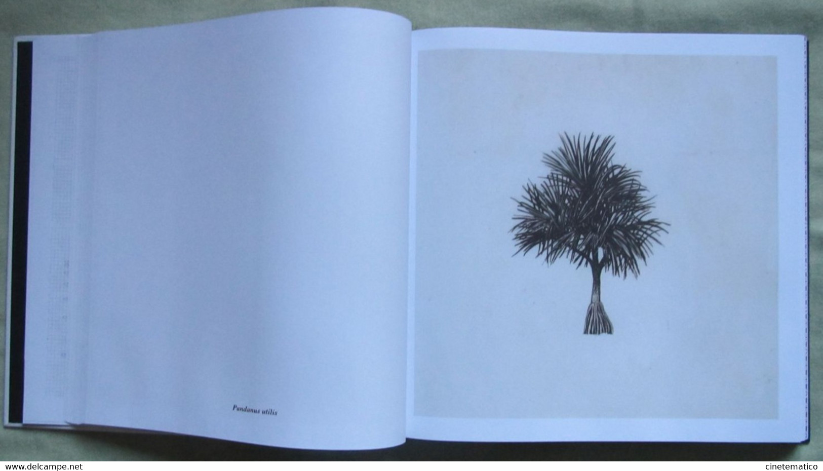 book/livre/buch/libro CUBE/IQOS: photography art communication architecture and trees