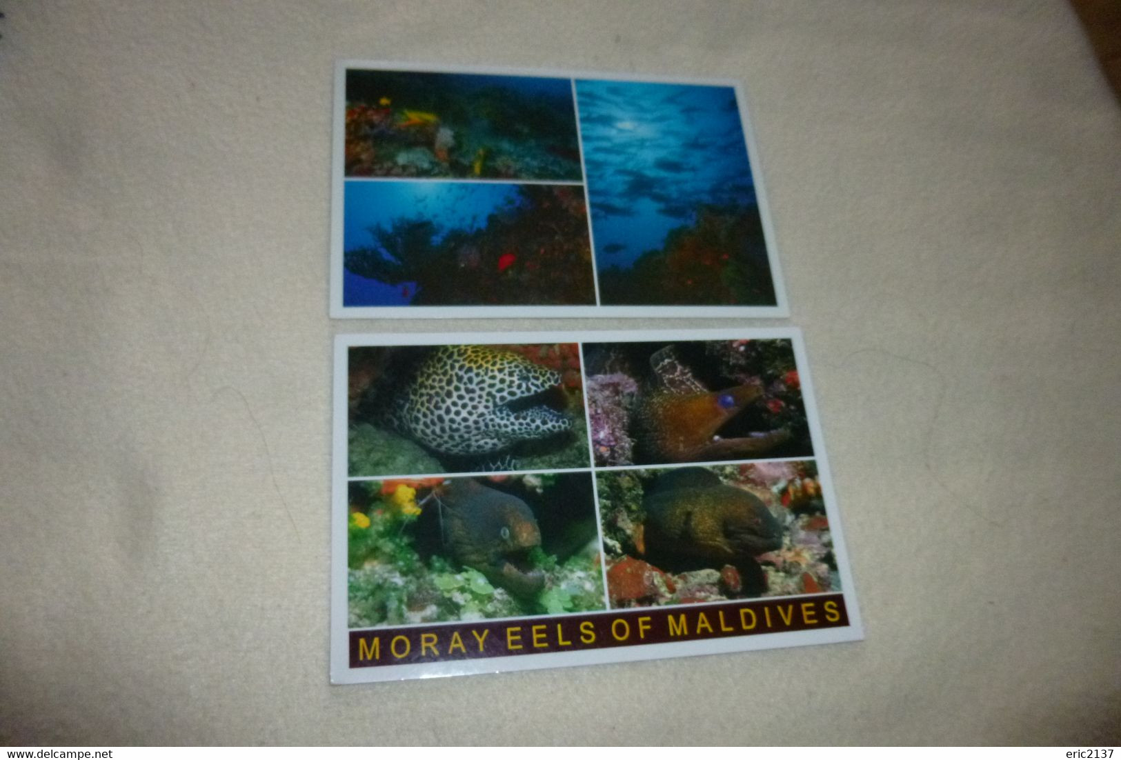 LOT DE 2 CARTES ...POISSONS DES MALDIVES - Maldives