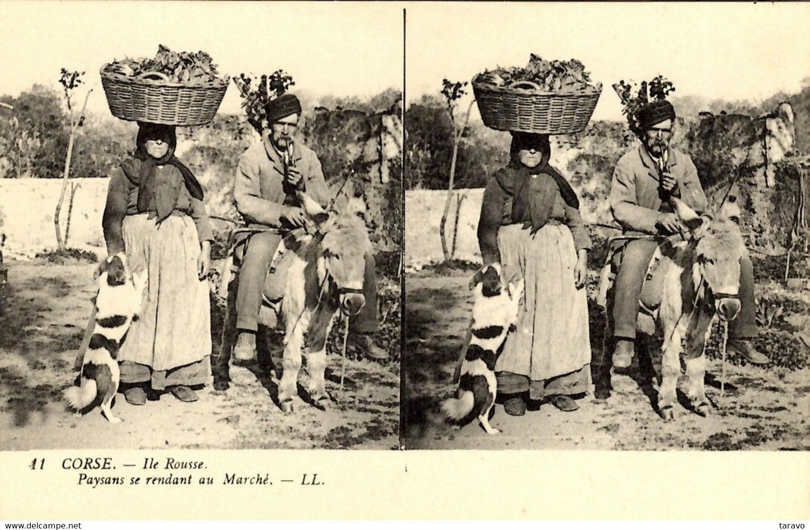 CORSE - ILE ROUSSE - Paysans Se Rendant Au Marché - Ane - Autres & Non Classés