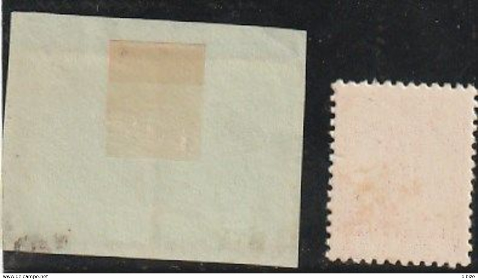 Maroc. Protectorat. 2 Timbres Sur Carton. Yvert Et Tellier N° 213. 1943. Tour Hassan. Variétés. Fond Blanc Sans Rayures. - Oddities On Stamps