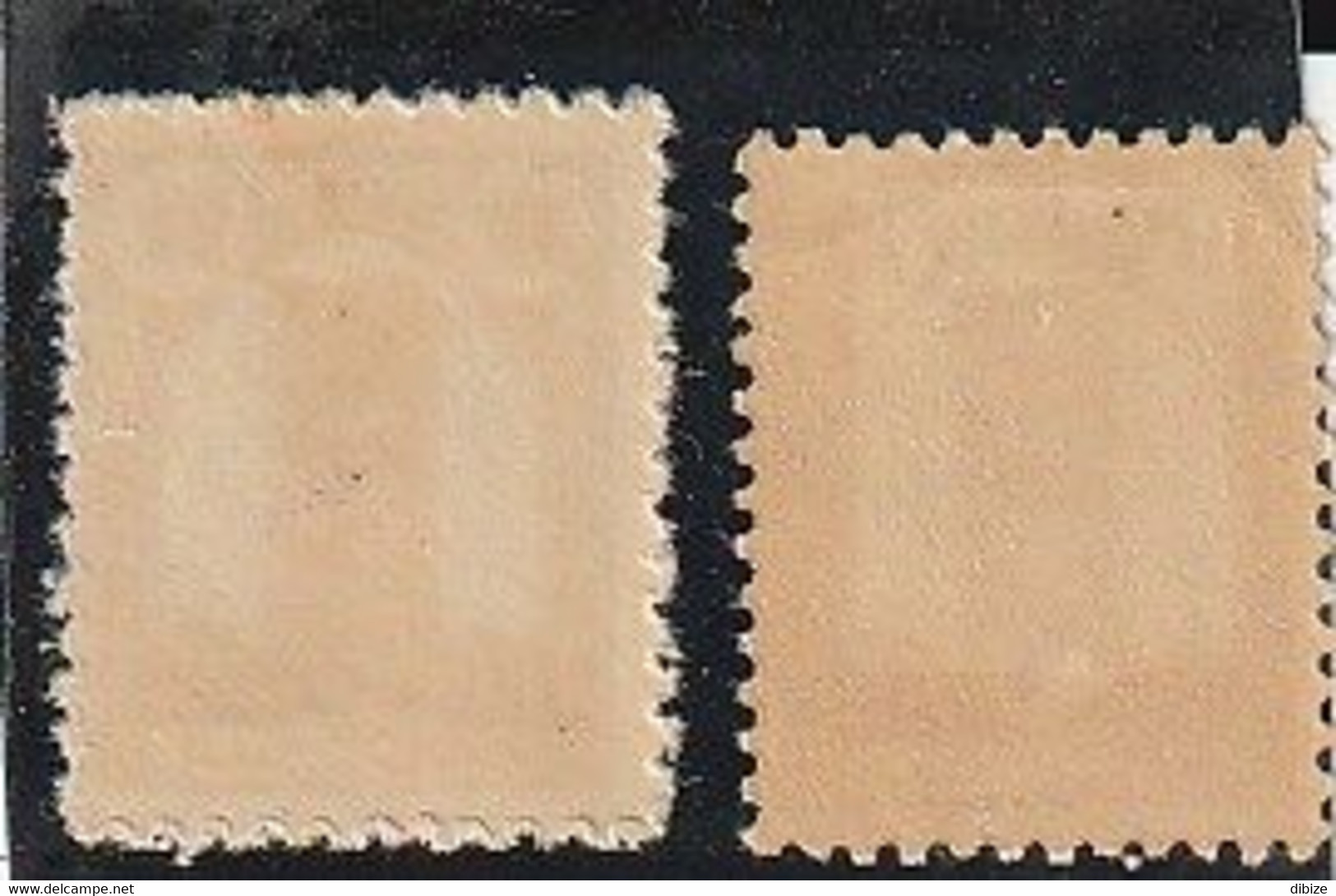 Maroc. Protectorat. Timbre Yvert Et Tellier N° 204. 1943. Tour Hassan. Variété. Fond Blanc Sans Rayures. - Oddities On Stamps