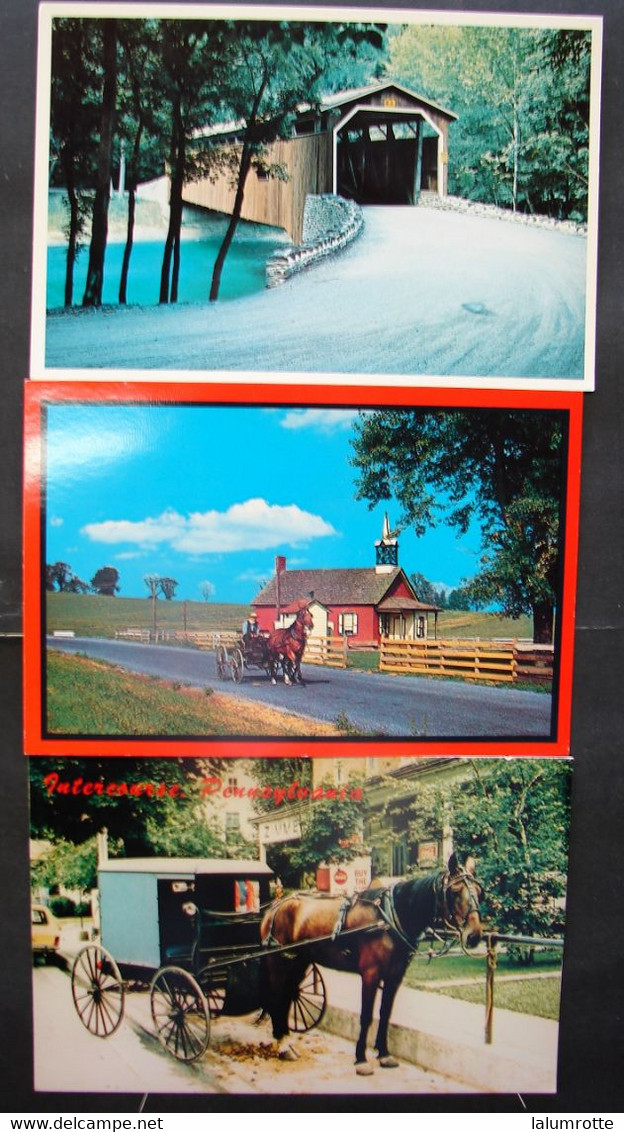 CP. 3963. Lot De 5 CP Amish Seasons. La Famille Marche Vers L'église, Horses - Lancaster