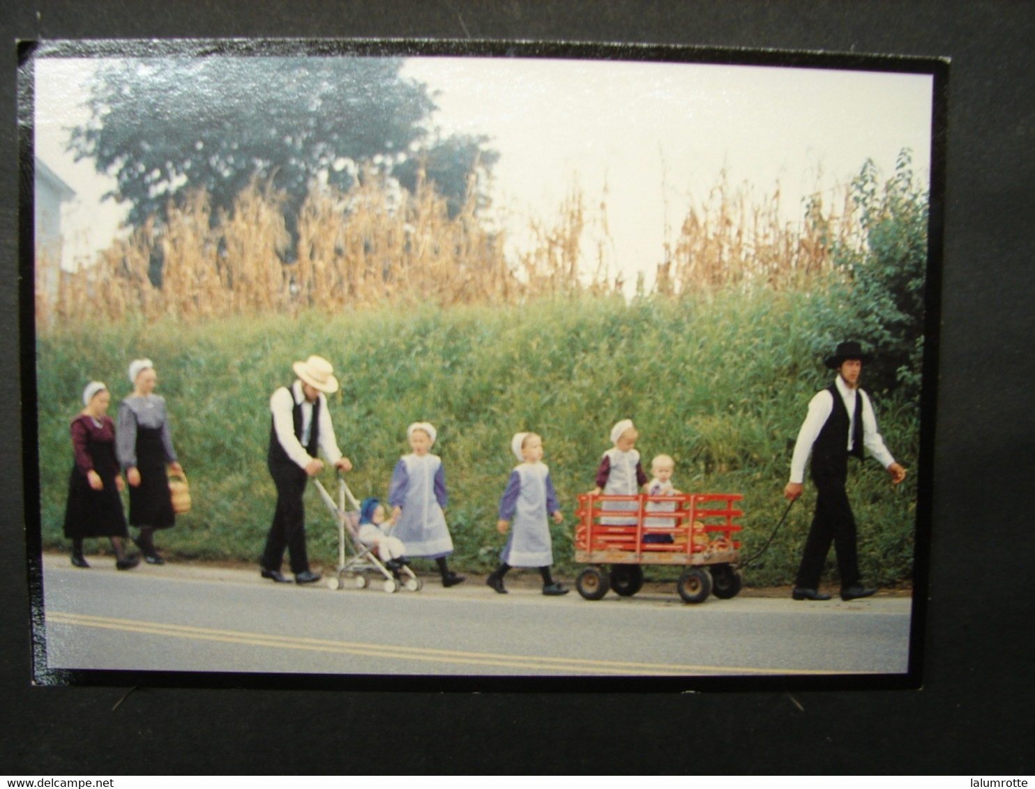 CP. 3963. Lot De 5 CP Amish Seasons. La Famille Marche Vers L'église, Horses - Lancaster