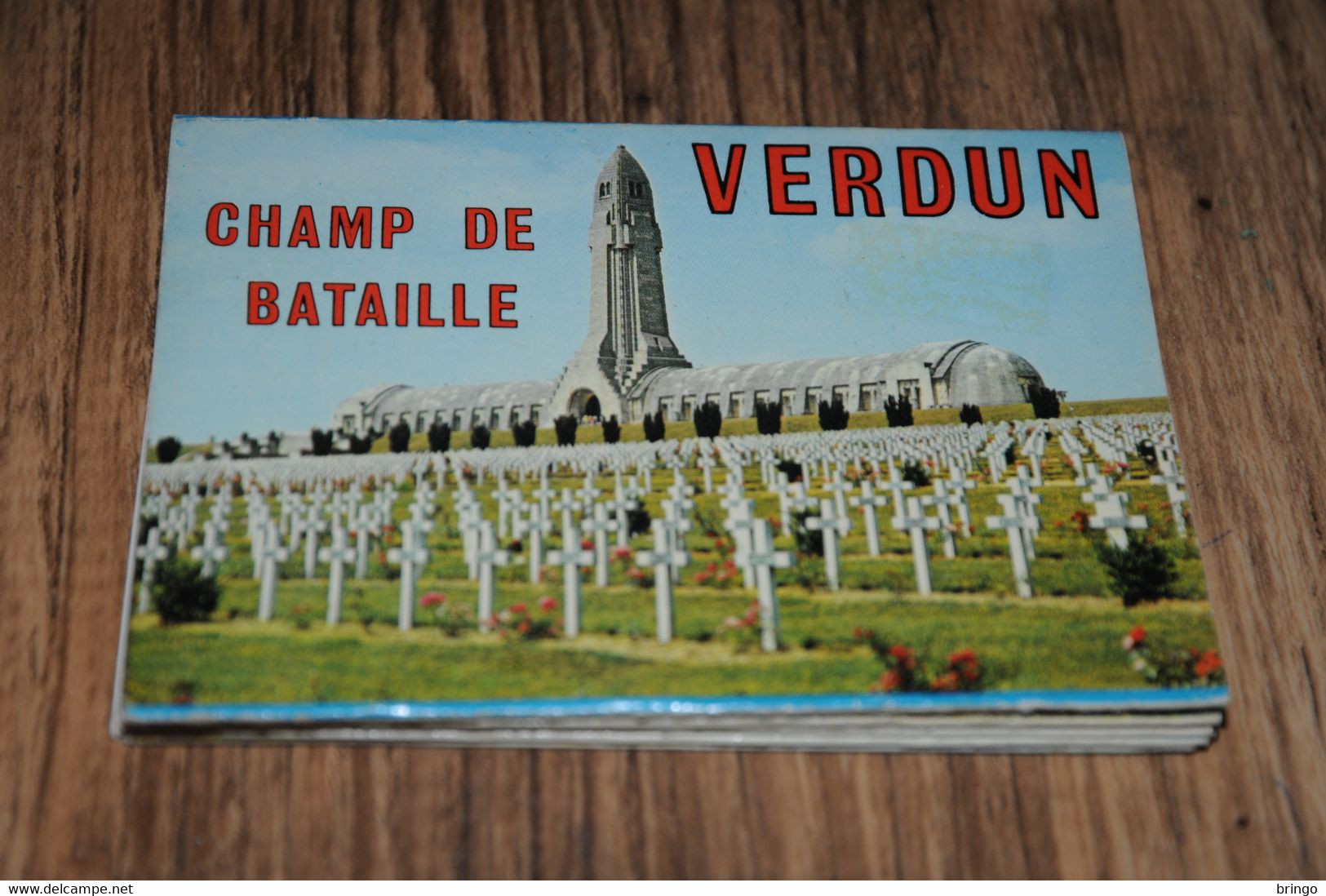 VERDUN, CHAMP DE BATAILLE / LEPORELLO / 10 VUES - Verdun