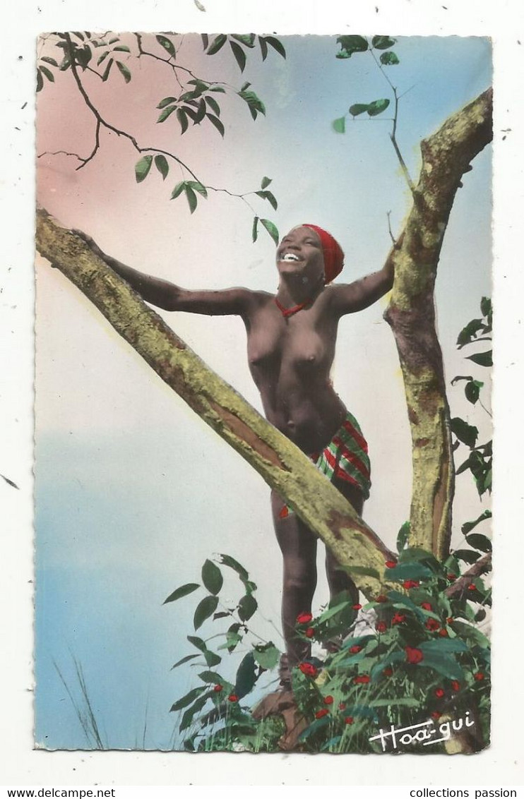 P , Cp, Afrique Noire , Jeune Beauté , Ed. Hoa Qui , N° 221 - Afrique