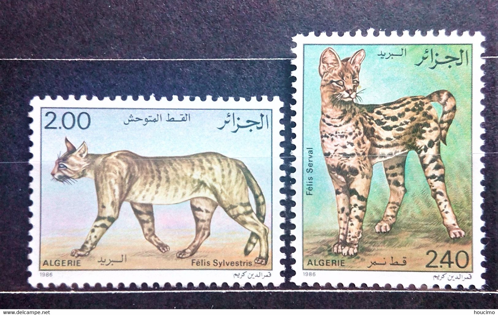 TIMBRES ALGERIE NEUFS/ STAMPS OF ALGERIA - Other & Unclassified