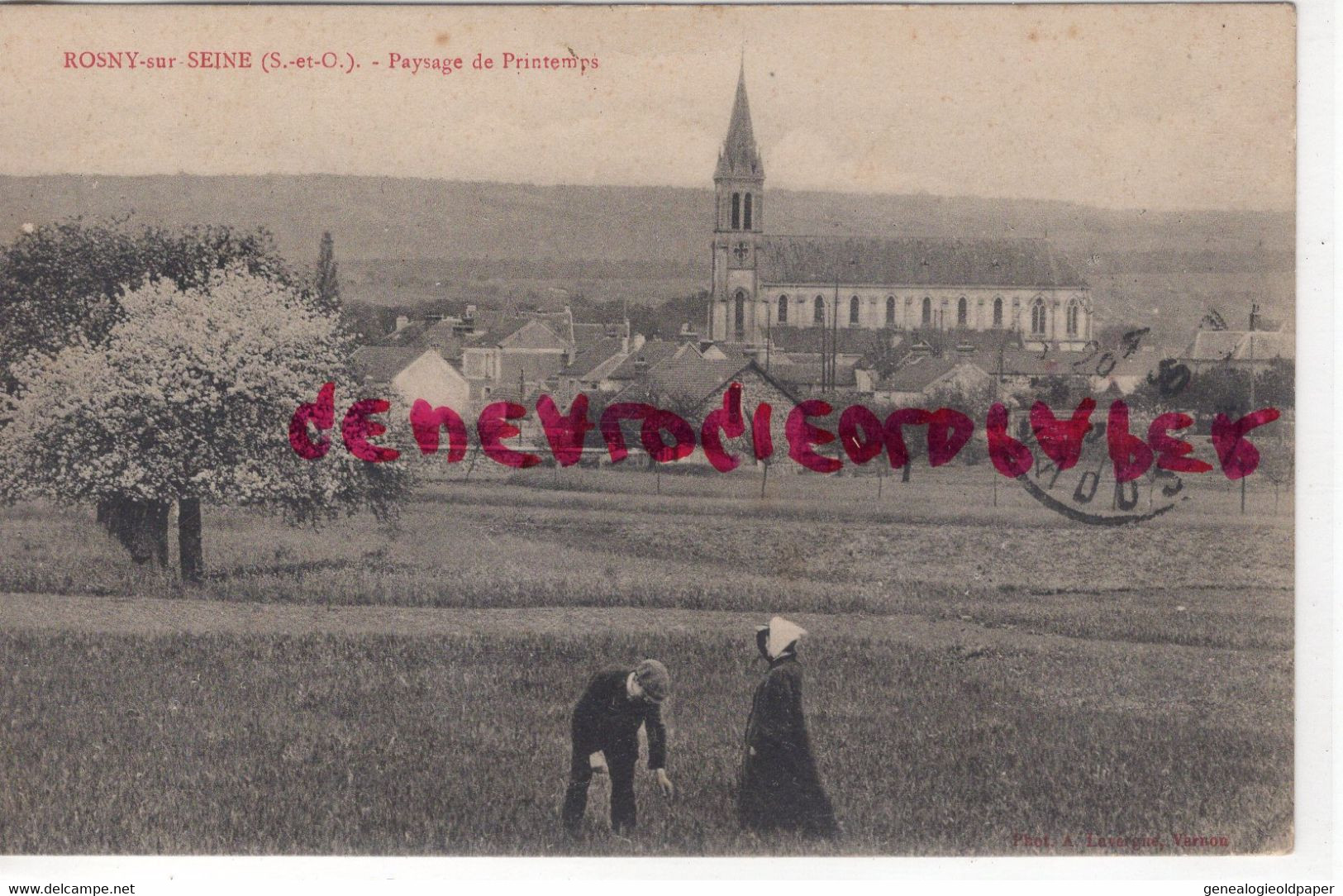 78- ROSNY SUR SEINE - PAYSAGE DE PRINTEMPS - Rosny Sur Seine