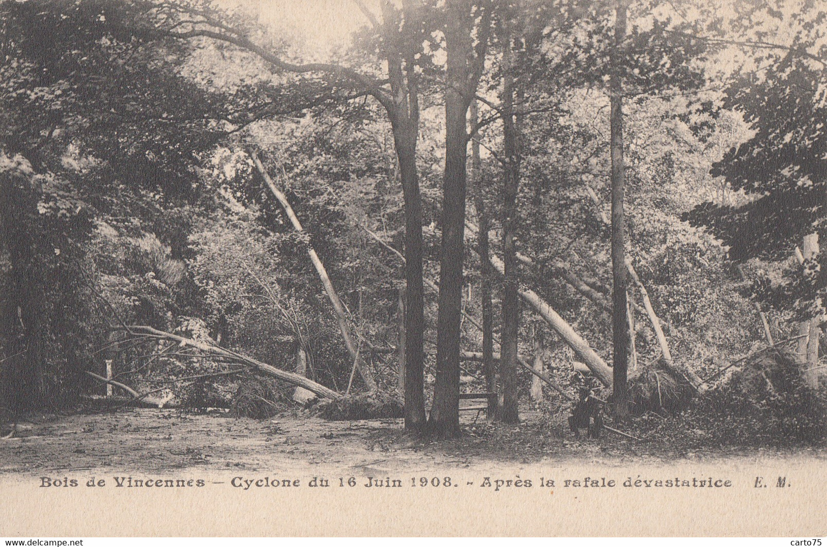 Evènements - Météo - Cyclone Du 16 Juin 1908 - Bois De Vincennes - Rampen