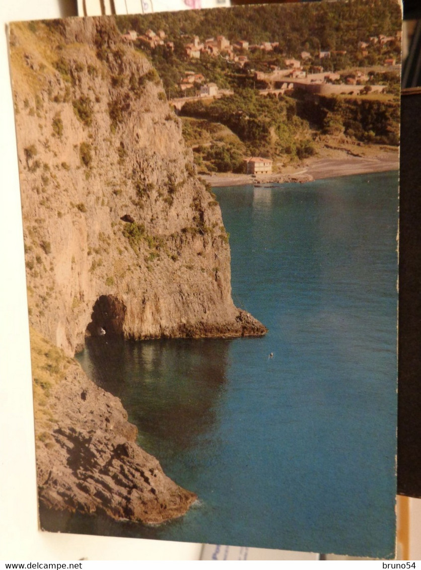 Cartolina Acquafredda Di Maratea Prov Potenza  1968 Hotel Gabbiano E Costa Tirrenica - Potenza