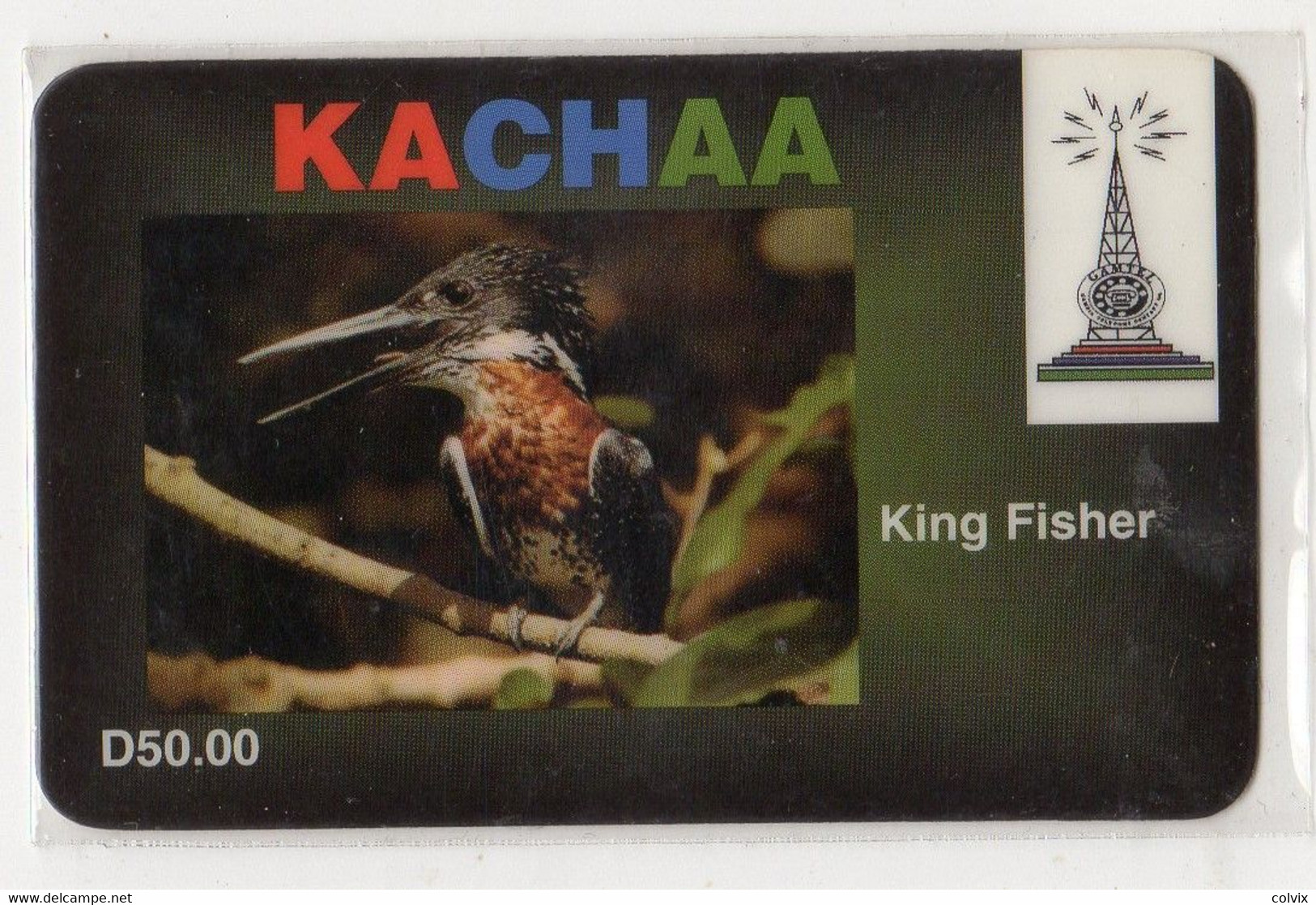 GAMBIE PREPAYEE KACHAA D50 KING FISHER - Gambie