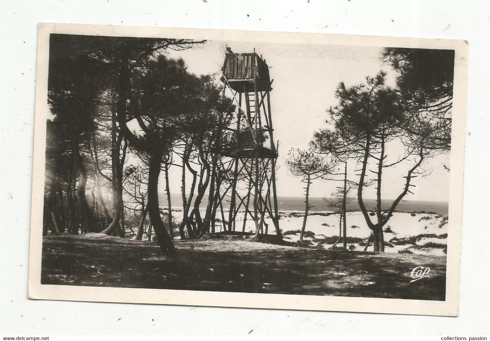 P , Cp, CHASSE , 33 , SOULAC SUR MER , Poste De Chasse Dans Les Pins , Voyagée 1952 - Jagd