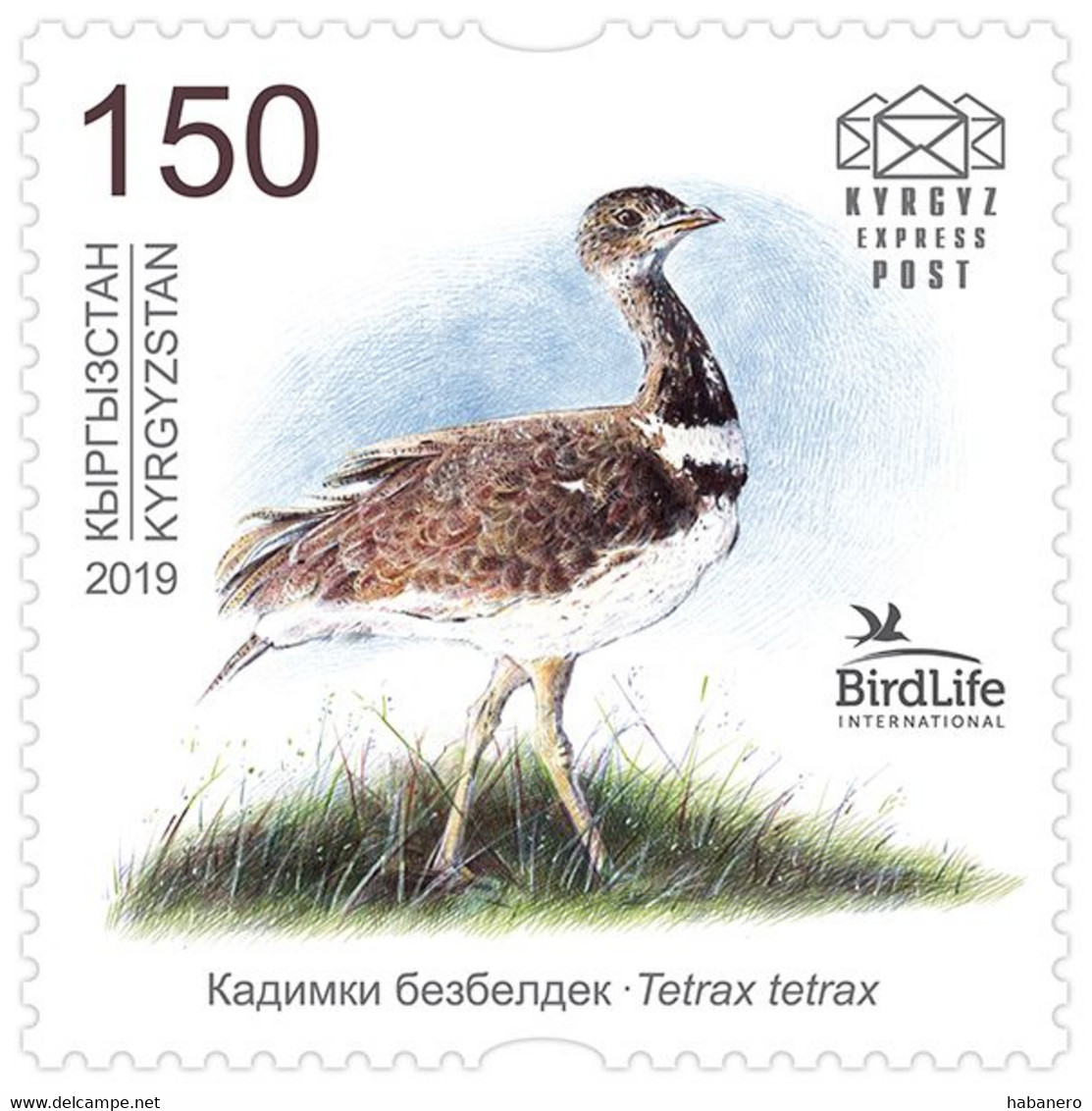 KYRGYZSTAN 2019 KEP 129 Bird Of The Year - The Little Bustard - Mint Stamp - Only 6000 Issued - Kirghizistan