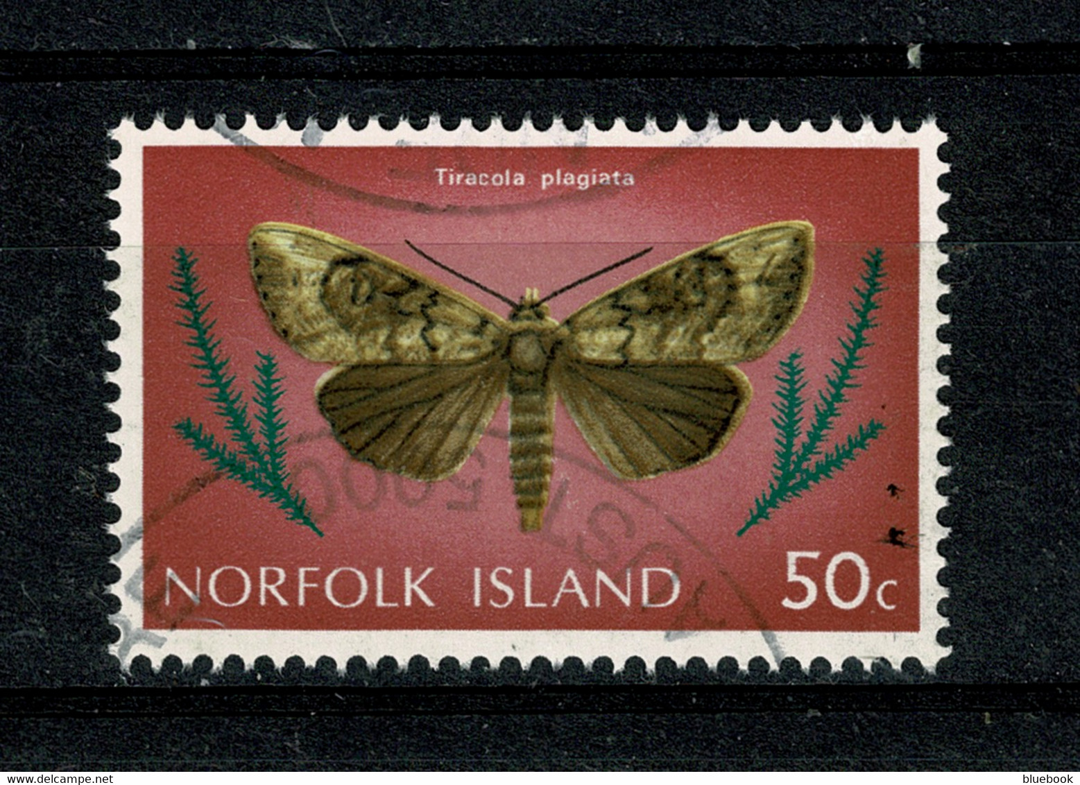 Ref 1458 - Norfolk Island 50c Used Stamp - SG 193 - Butterfly Butterflies & Moths Theme - Ile Norfolk