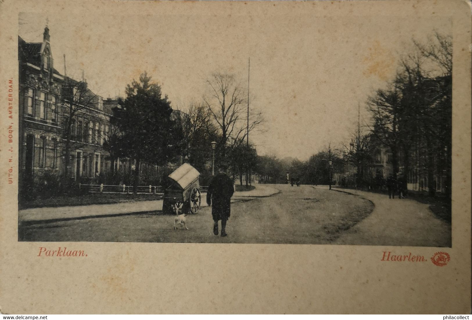 Haarlem // Parklaan Ca 1900 Vlekkig - Haarlem