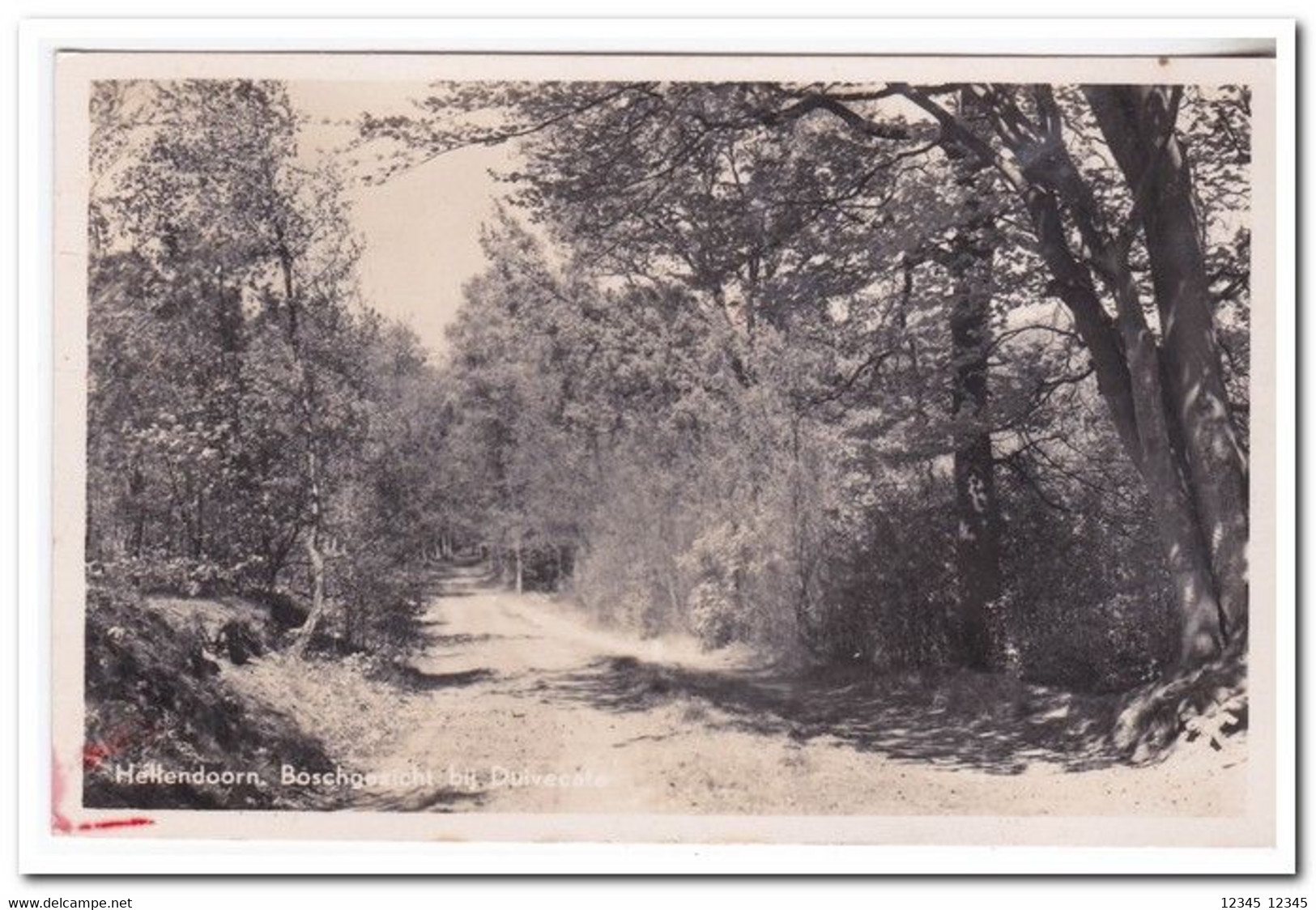 Hellendoorn, Boschgezicht Bij Duivecate - Hellendoorn