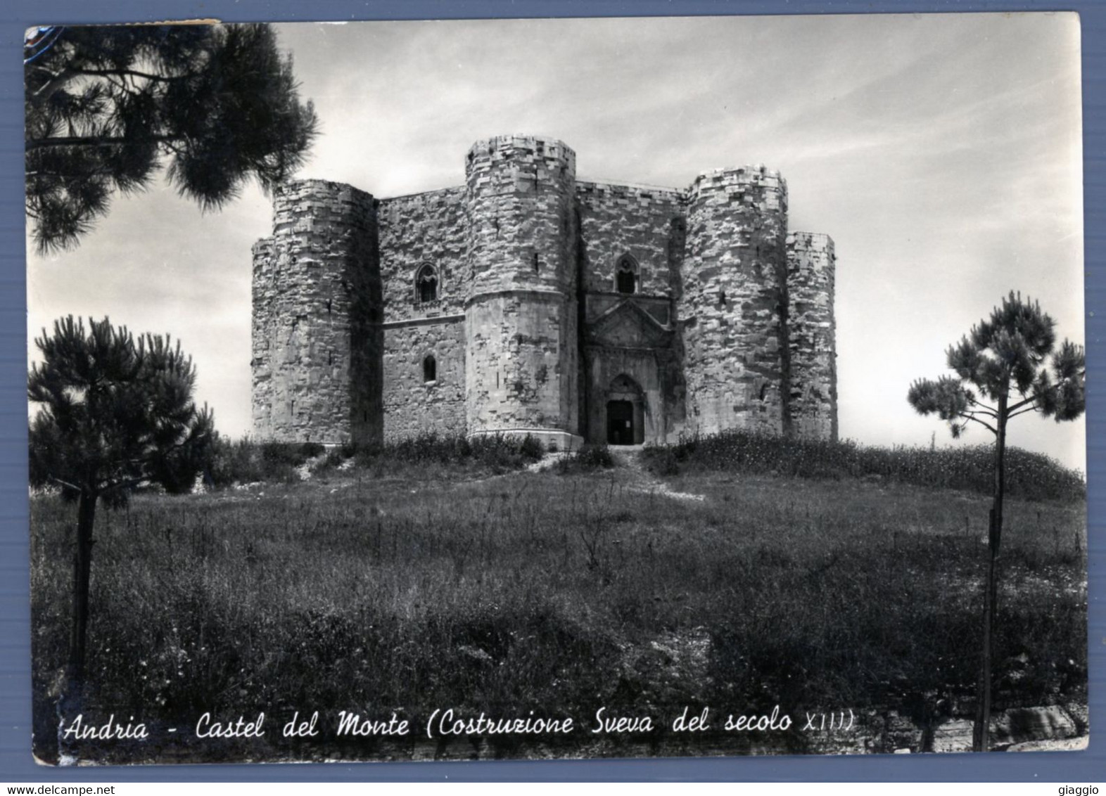 °°° Cartolina - Andria Castel Del Monte  Viaggiata (l) °°° - Andria