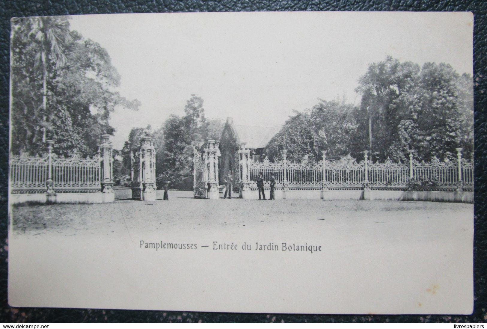 Maurice Ile Pamplemousses Entrée Jardin Botanique  Cpa - Mauritius