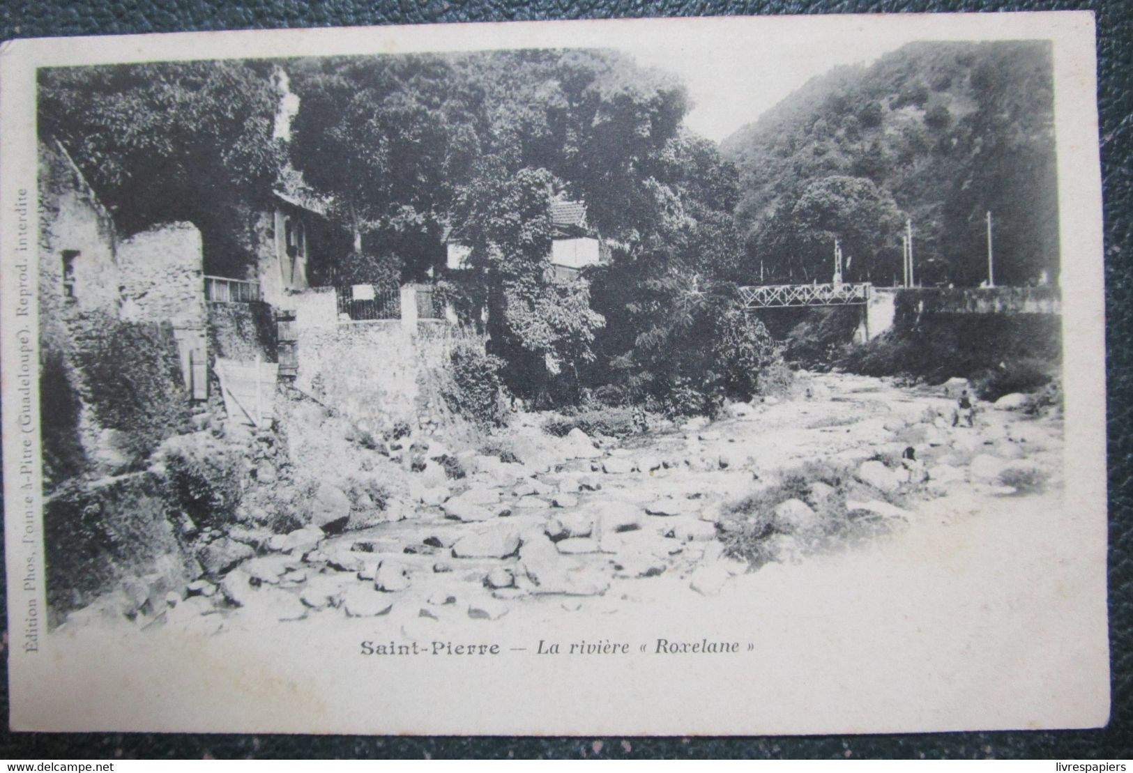 Martinique  Riviere Roxelane    Cpa - Autres & Non Classés