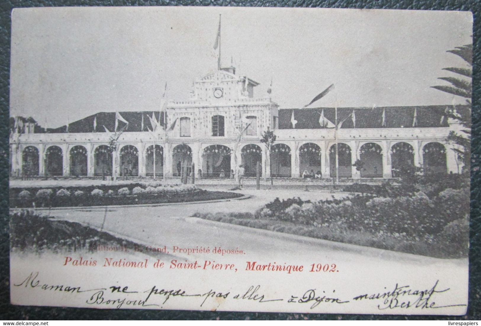 Martinique  Palais National De Saint Pierre    Cpa - Fort De France