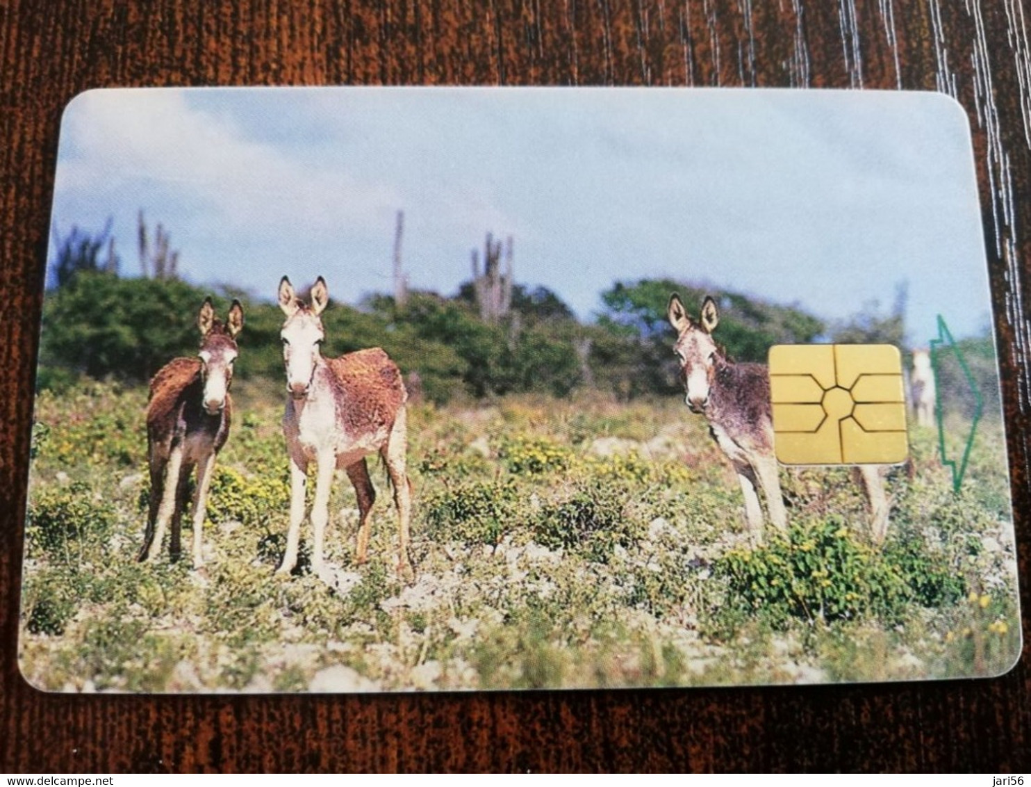 BONAIRE Naf 5,00 20units  DONKEYS ON BONAIRE       **4663** - Antilles (Netherlands)