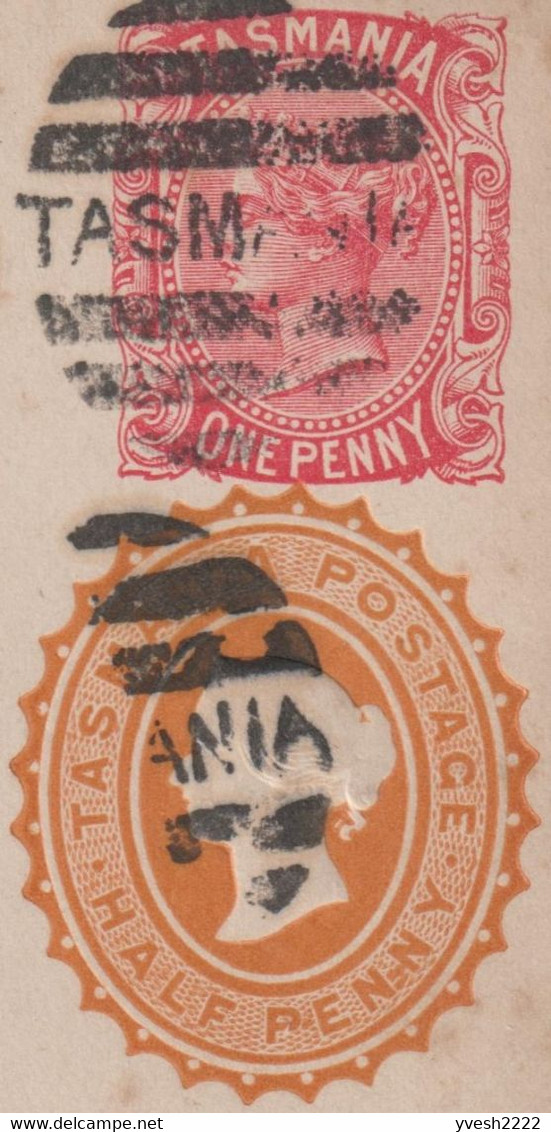 Tasmanie 1893. Entier Postal, Timbre Complémentaire Timbré Sur Commande. Rare Ayant Voyagé Depuis Hobart - Lettres & Documents