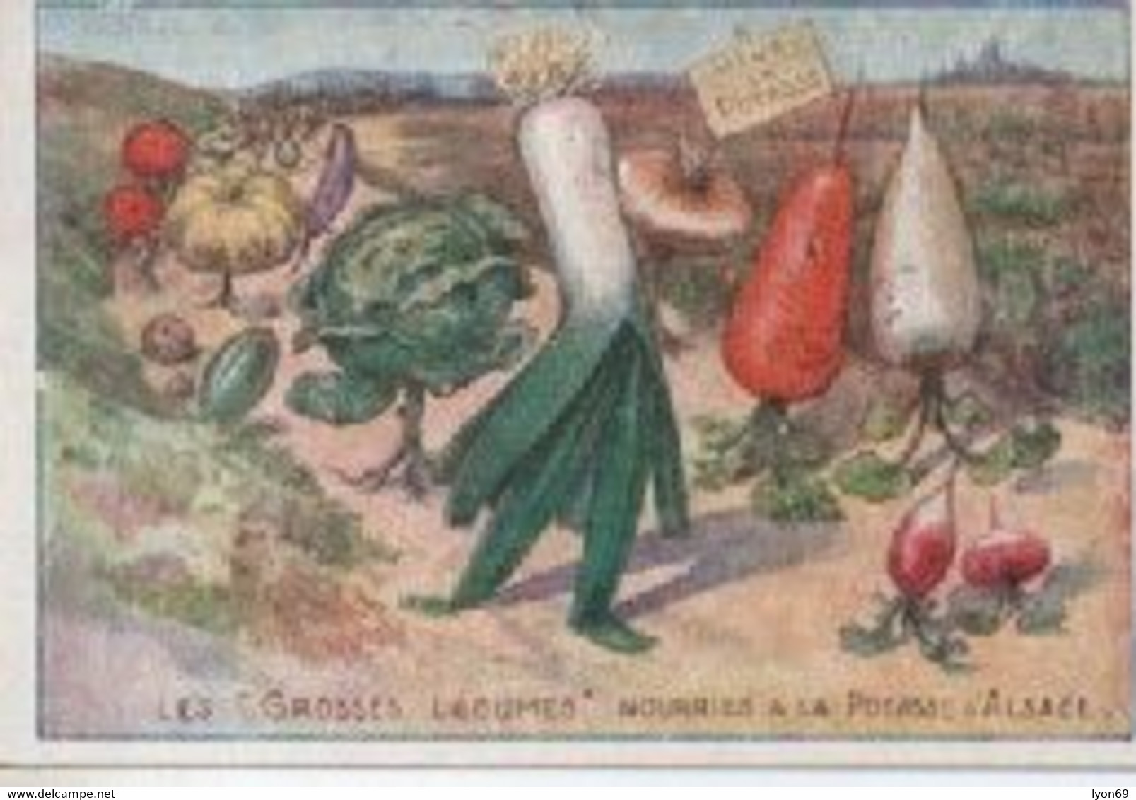 PUBLICITE  IPOTASSE D ALSACE  LES GROS LEGUMES - Publicidad