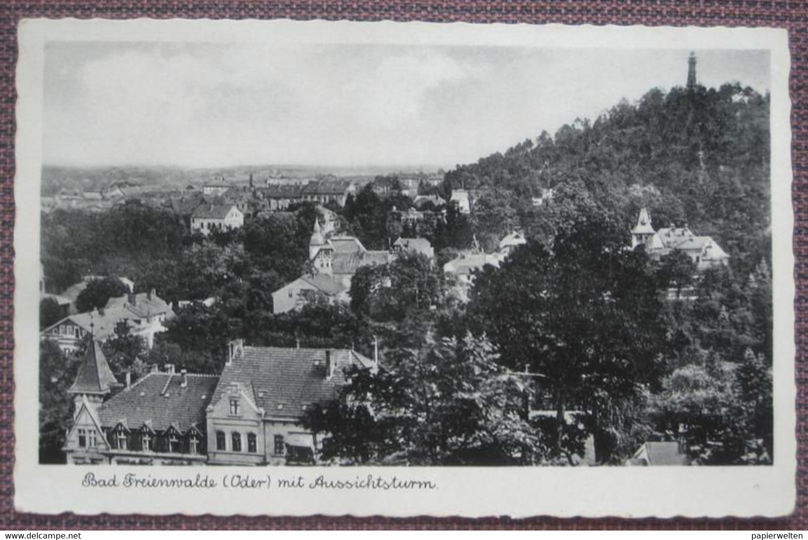 Bad Freienwalde (Märkisch-Oderland) - Panorama Mit Aussichtsturm - Bad Freienwalde