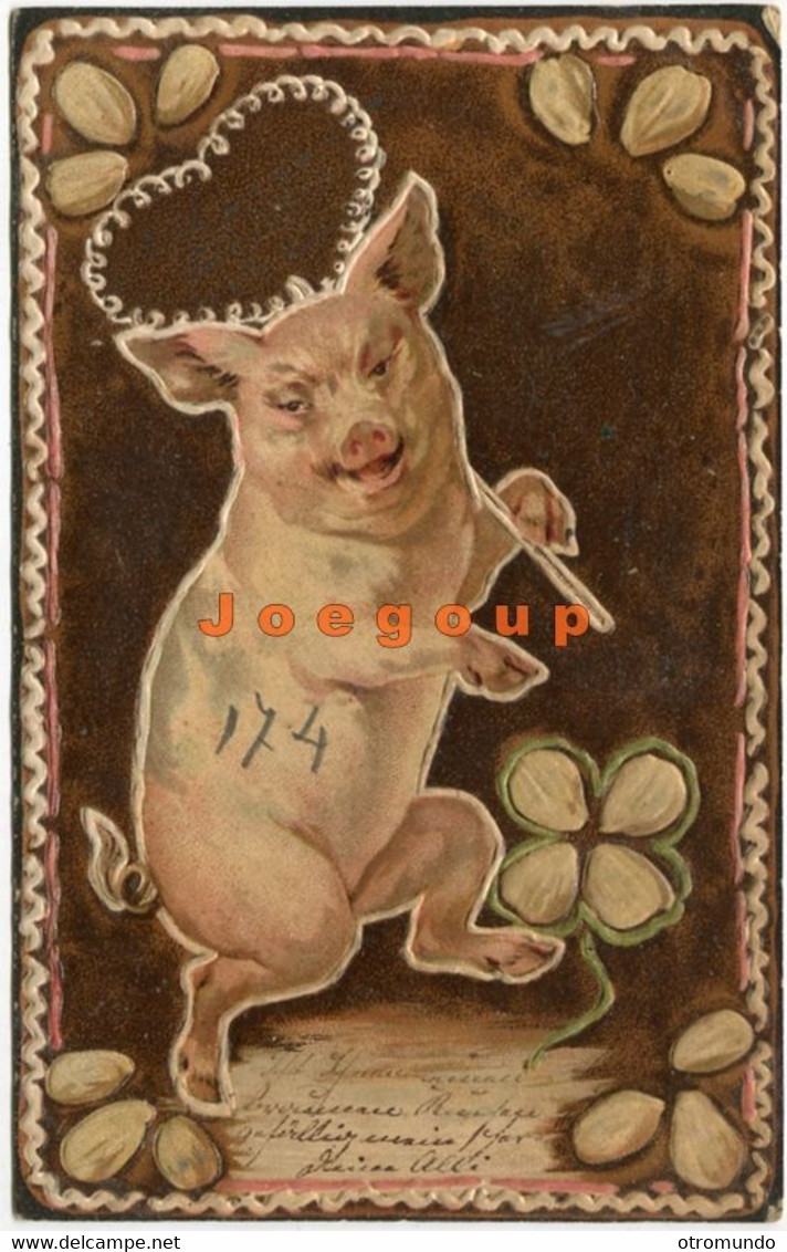 Ilustrated Postcard Embossed Art Pig Circulated Bell Ville Cordoba Argentina - Varkens