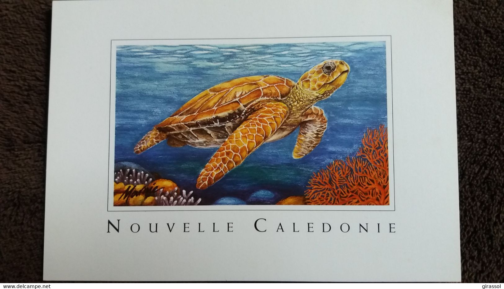 CPM NOUVELLE CALEDONIE TORTUE DESSINEE PAR MARNIE MORAT AQUARELLE - Schildkröten