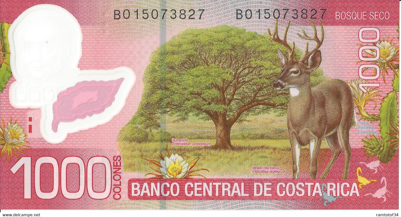 COSTA RICA - 1000 Colones 2017 - Polymer UNC - Costa Rica