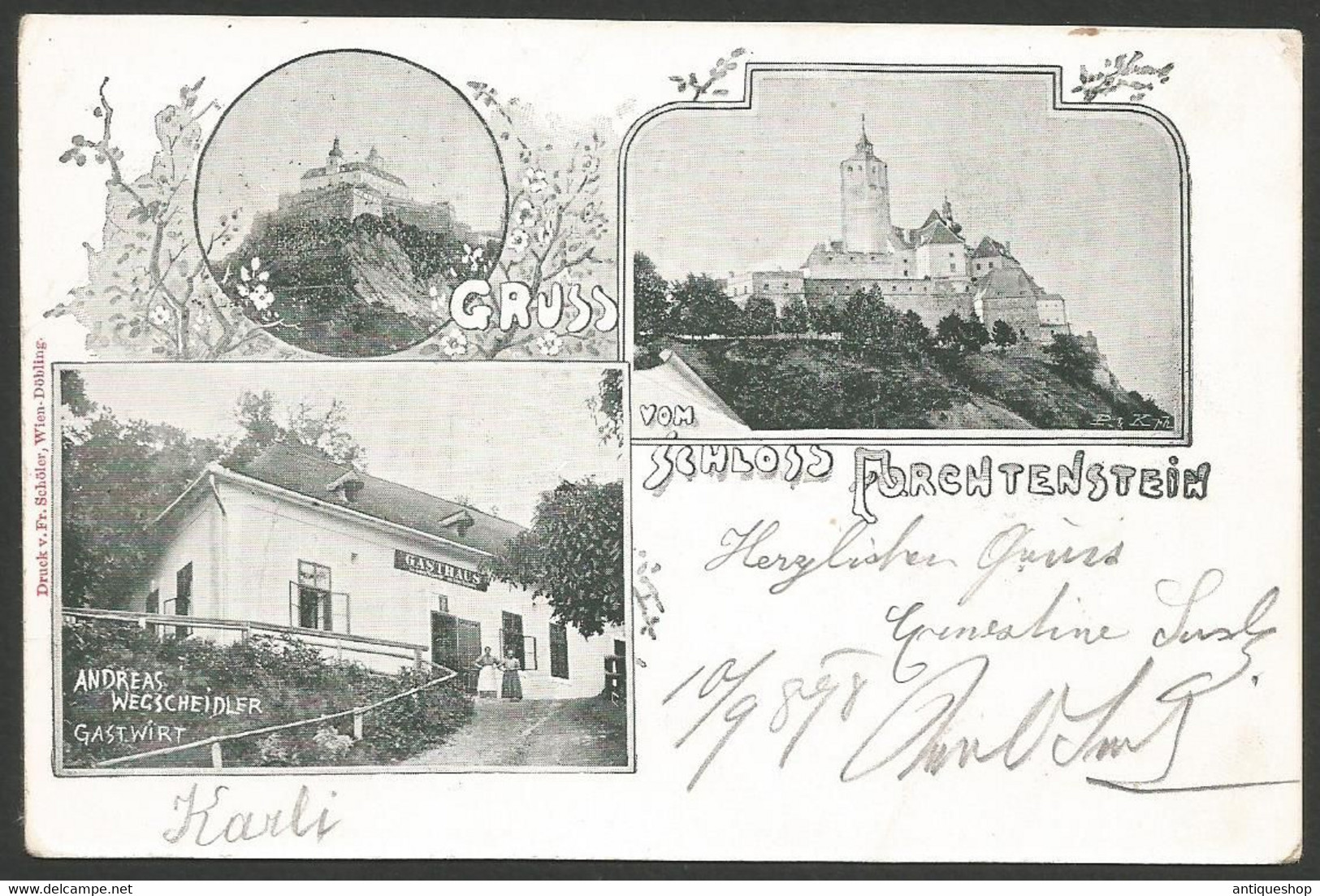 Austria-----Schloss Forchtenstein-----old Postcard - Forchenstein