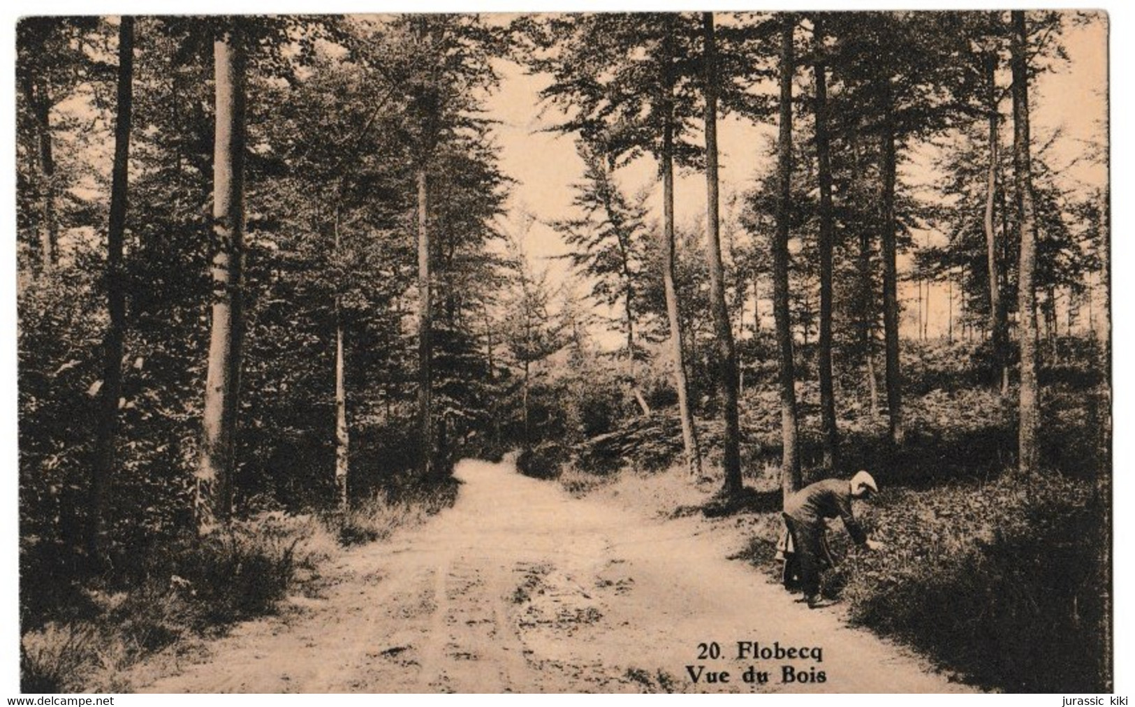 Flobecq - Vue Du Bois - Flobecq - Vloesberg