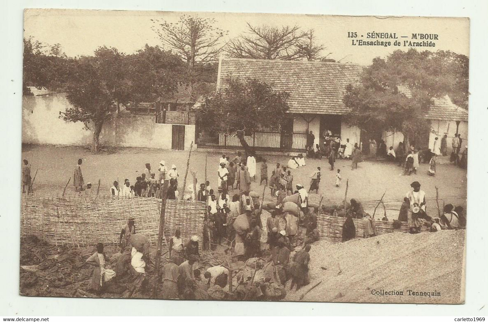 SENEGAL - M'BOUR - L'ENSACHAGE DE L'ARACHIDE - VIAGGIATA  FP - Sénégal