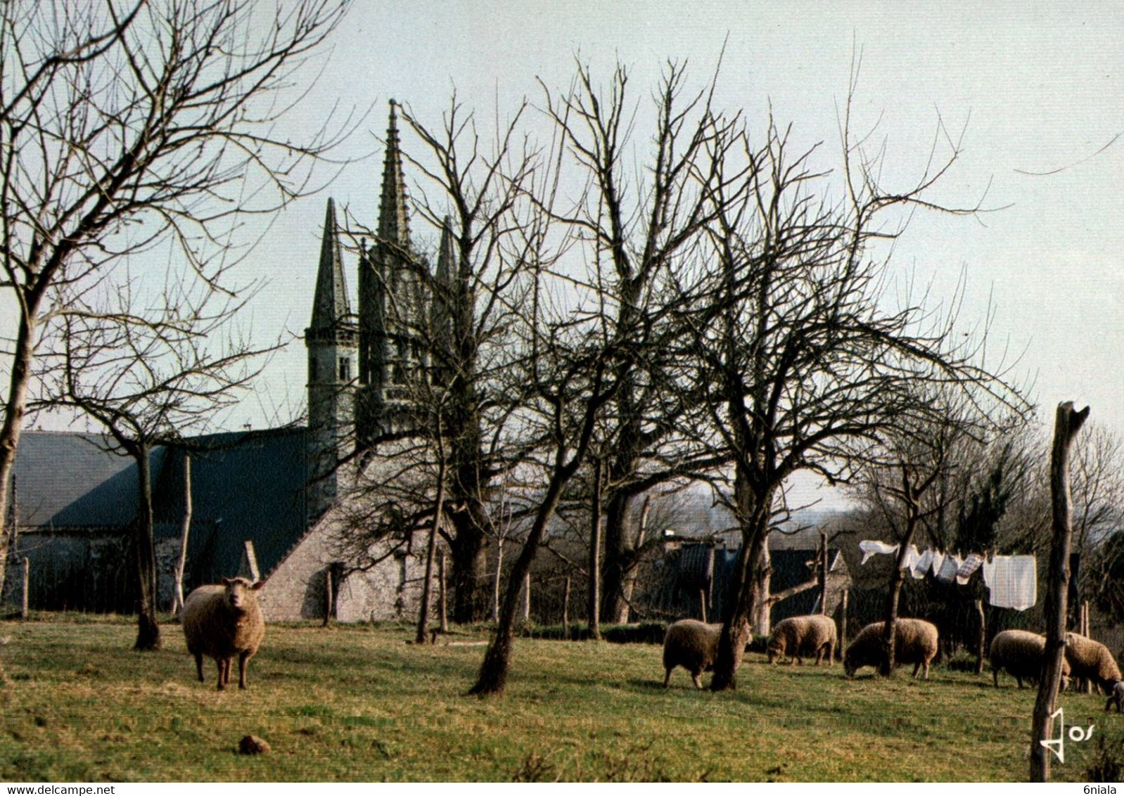 6193 Carte Postale  LE FAOUET La Chapelle Saint Fiacre   (scan Recto-verso) 56 Morbihan (moutons) - Faouët