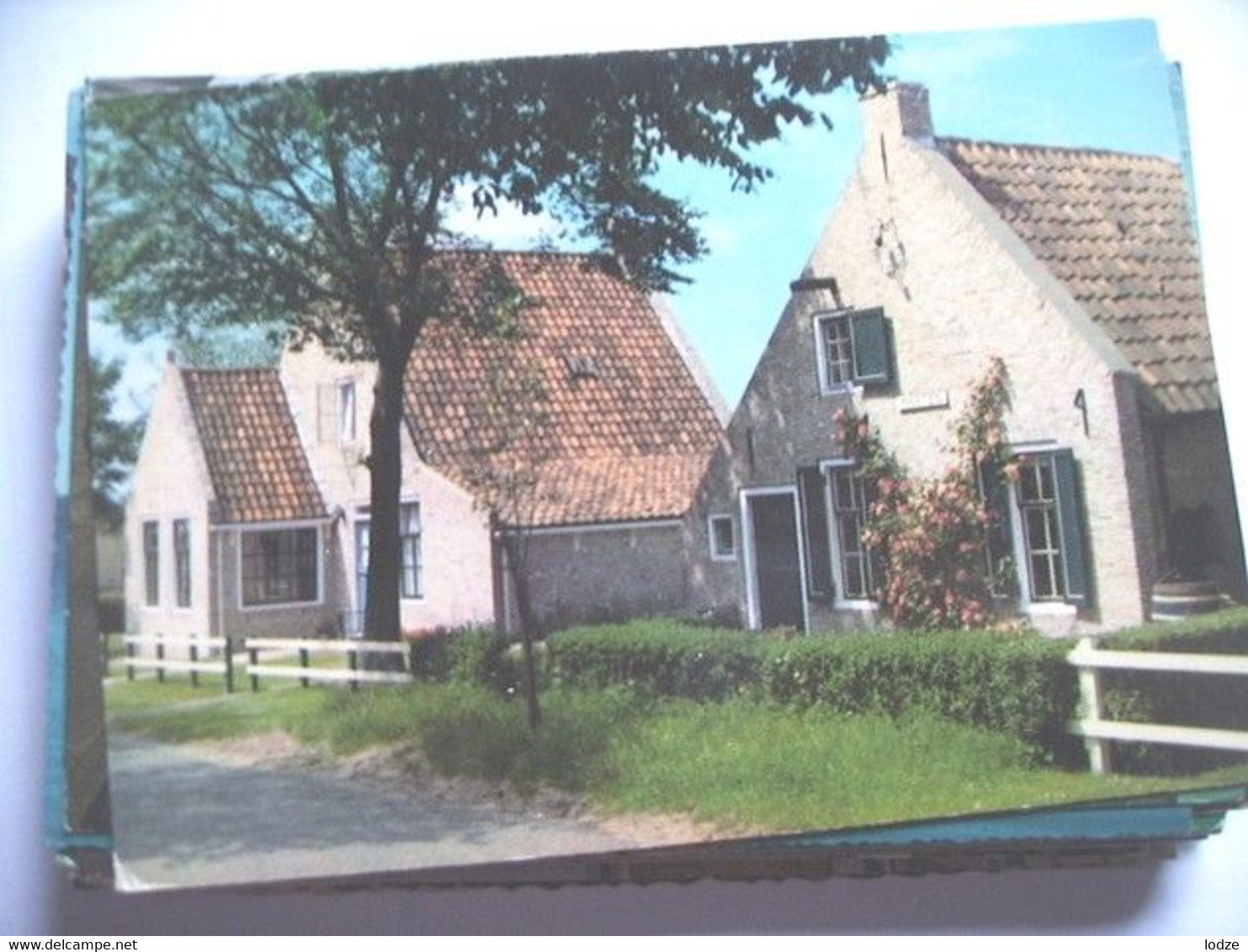 Nederland Holland Pays Bas Schiermonnikoog Met Kenmerkende Huizen - Schiermonnikoog