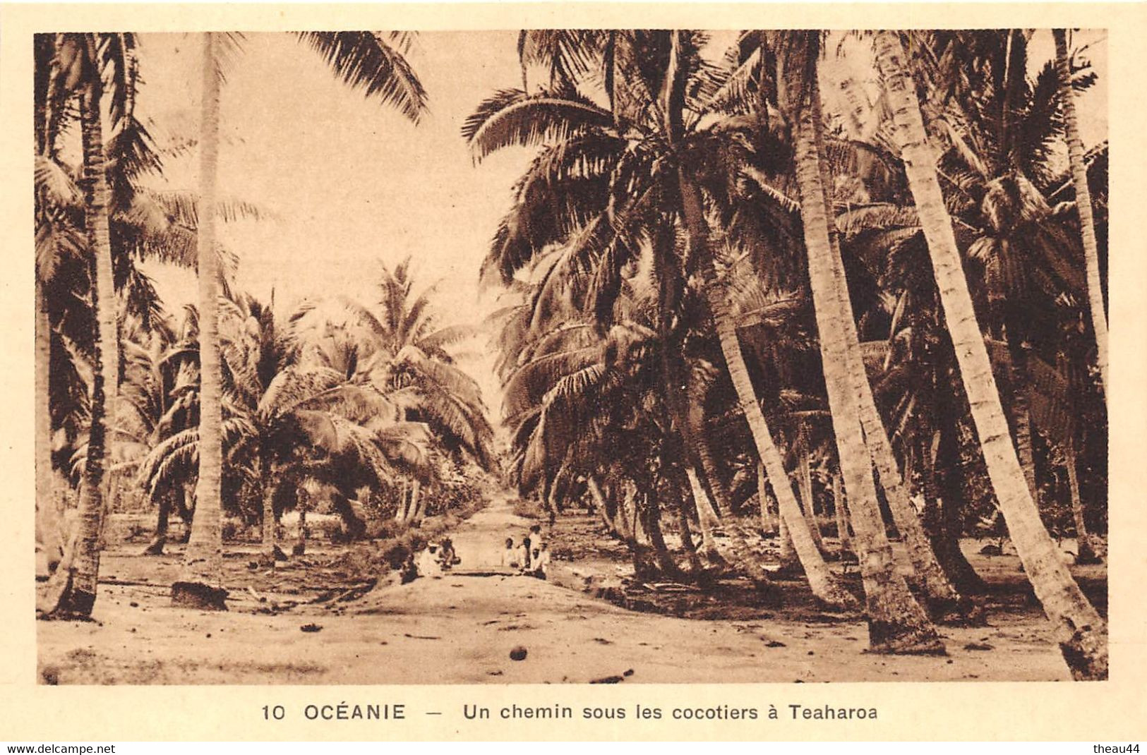 ¤¤  -  POLYNESIE FRANCAISE  -  MOOREA   -  TEAHAROA   -  Un Chemin Sous Les Cocotiers         -   ¤¤ - Polynésie Française